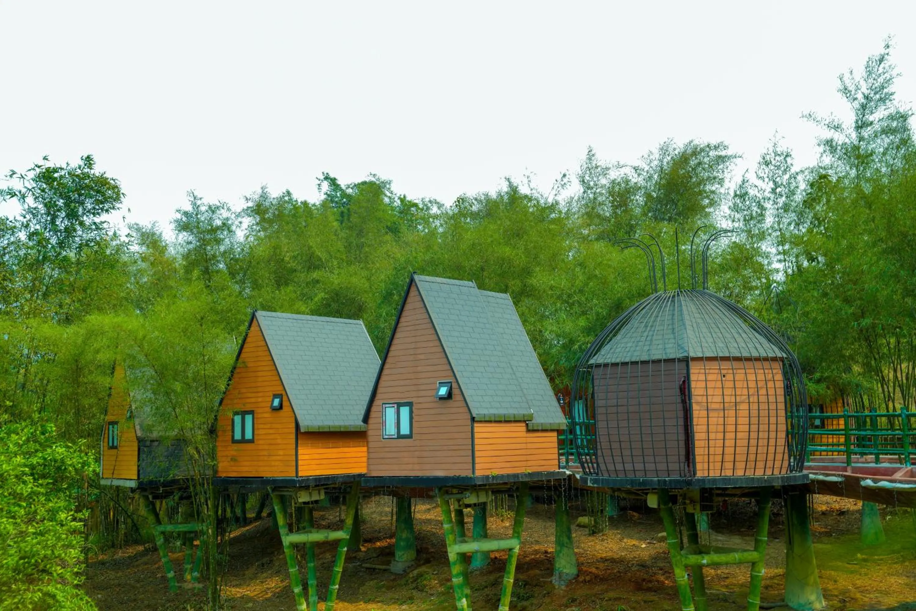 Natural landscape in MEDDOM Park