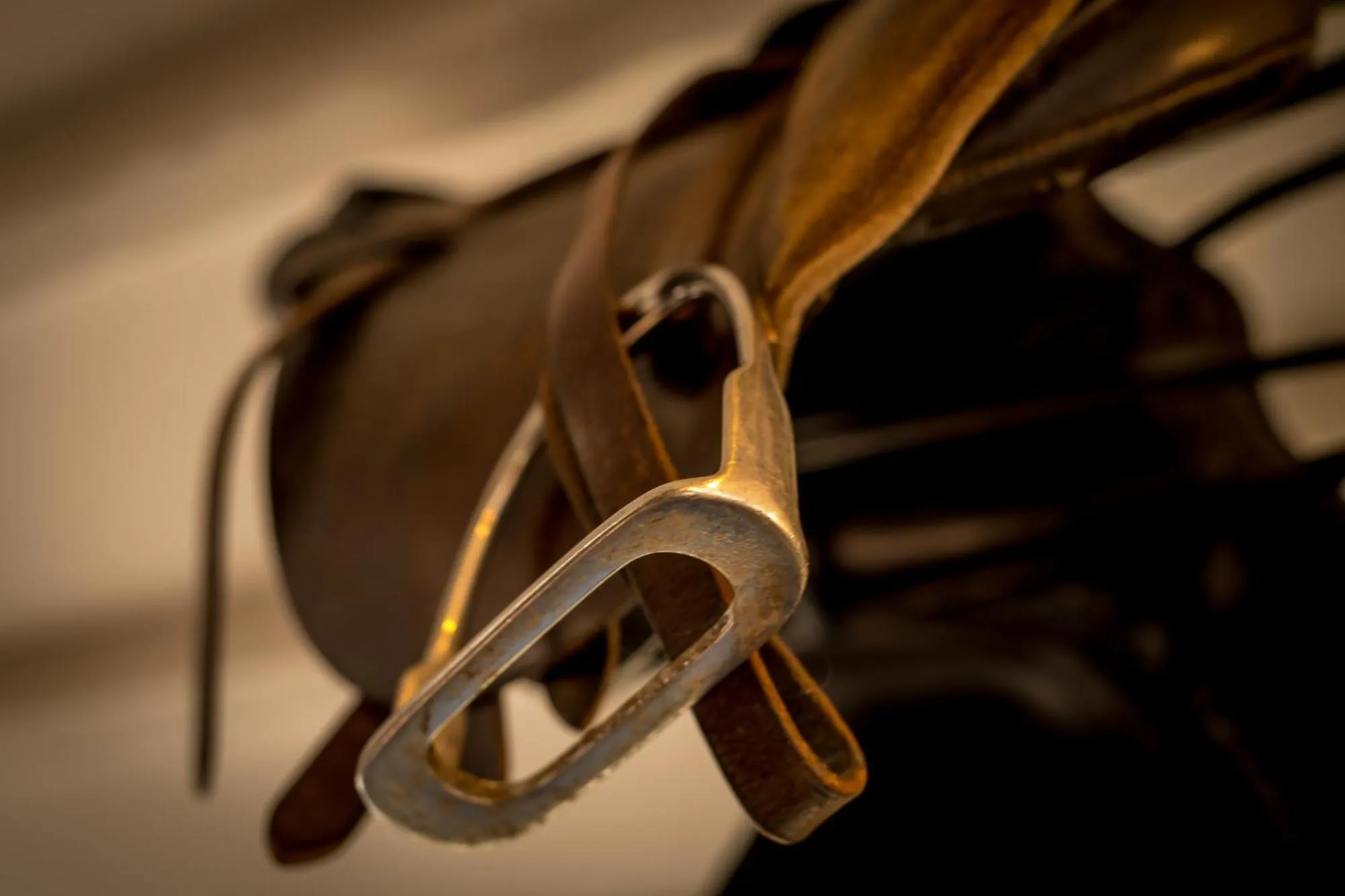 Restaurant/places to eat in The Queen's Arms