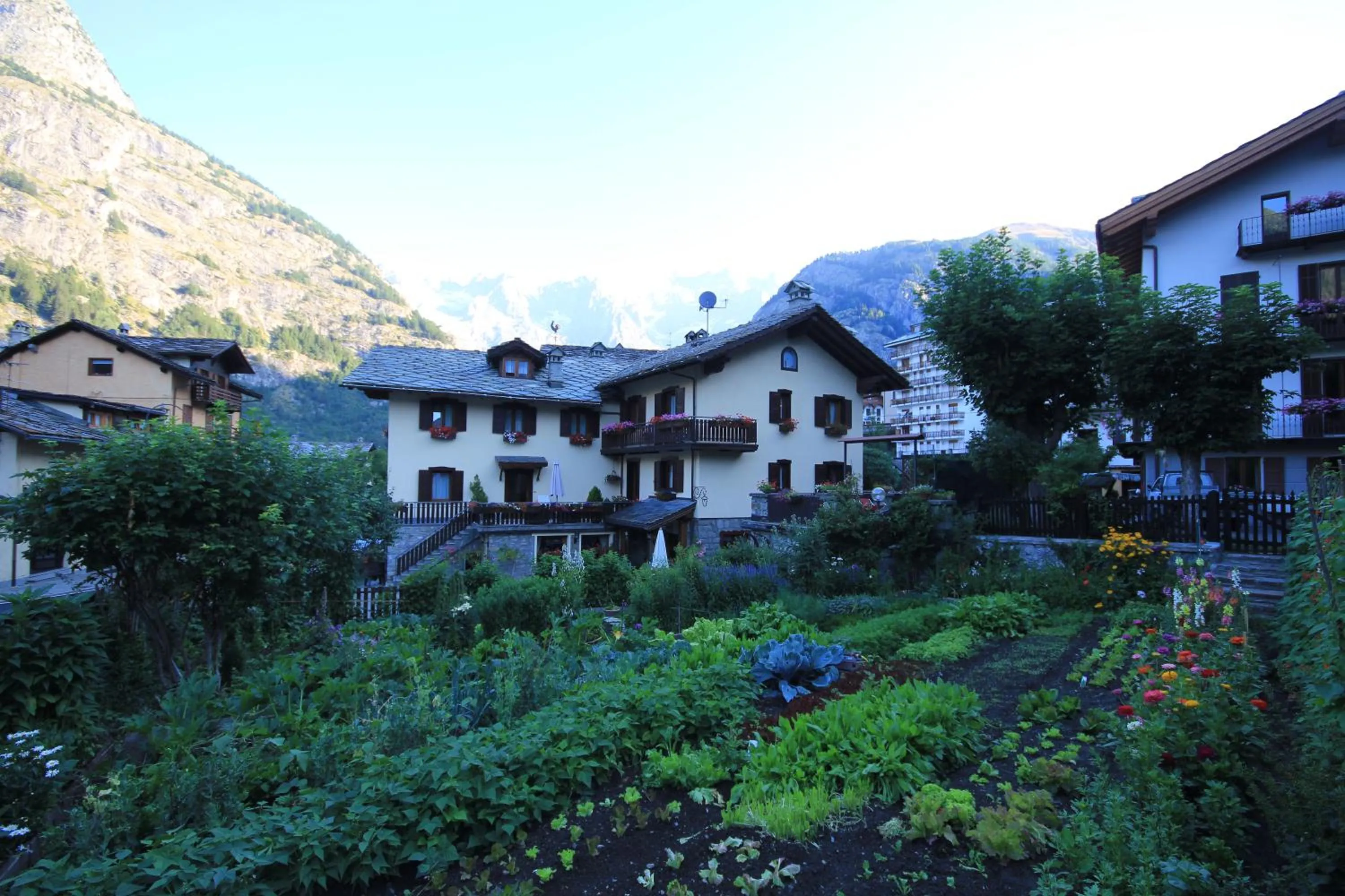 Summer in Maison Laurent