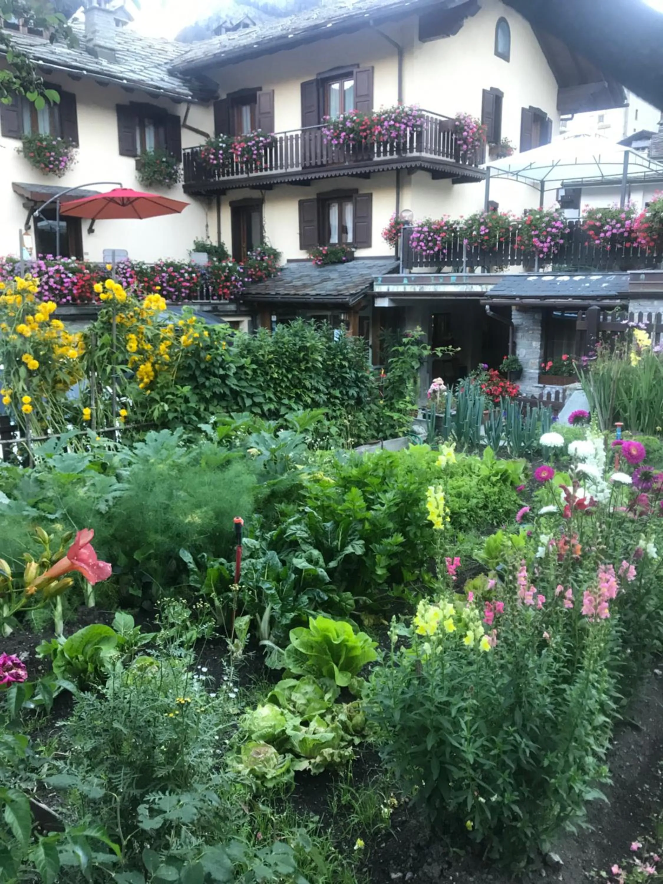 Summer in Maison Laurent