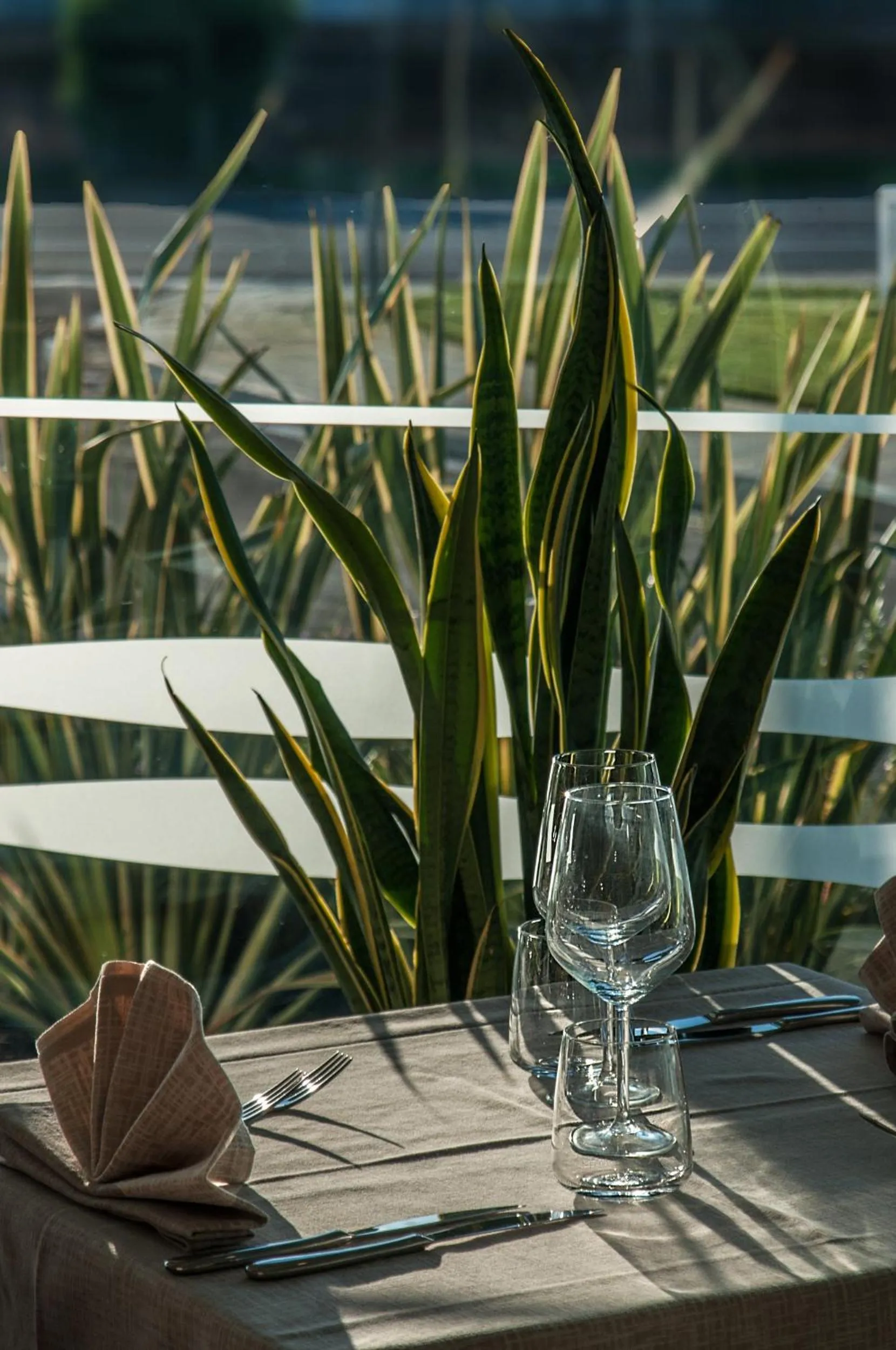 Restaurant/places to eat in Hotel Viareggio