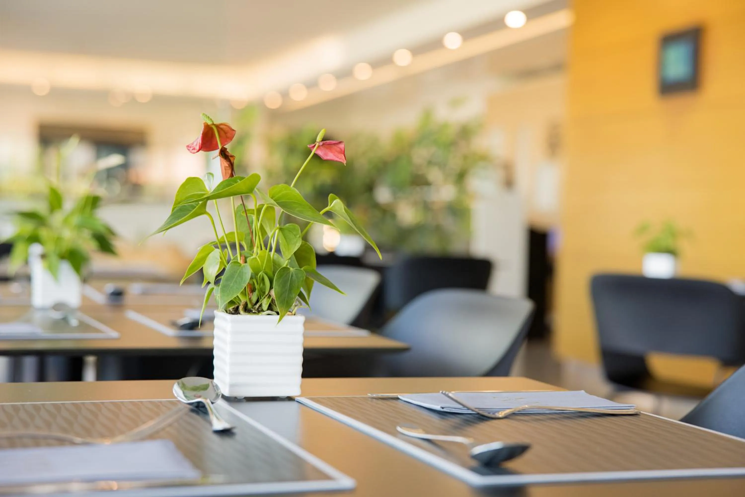 Restaurant/places to eat in Hotel Viareggio