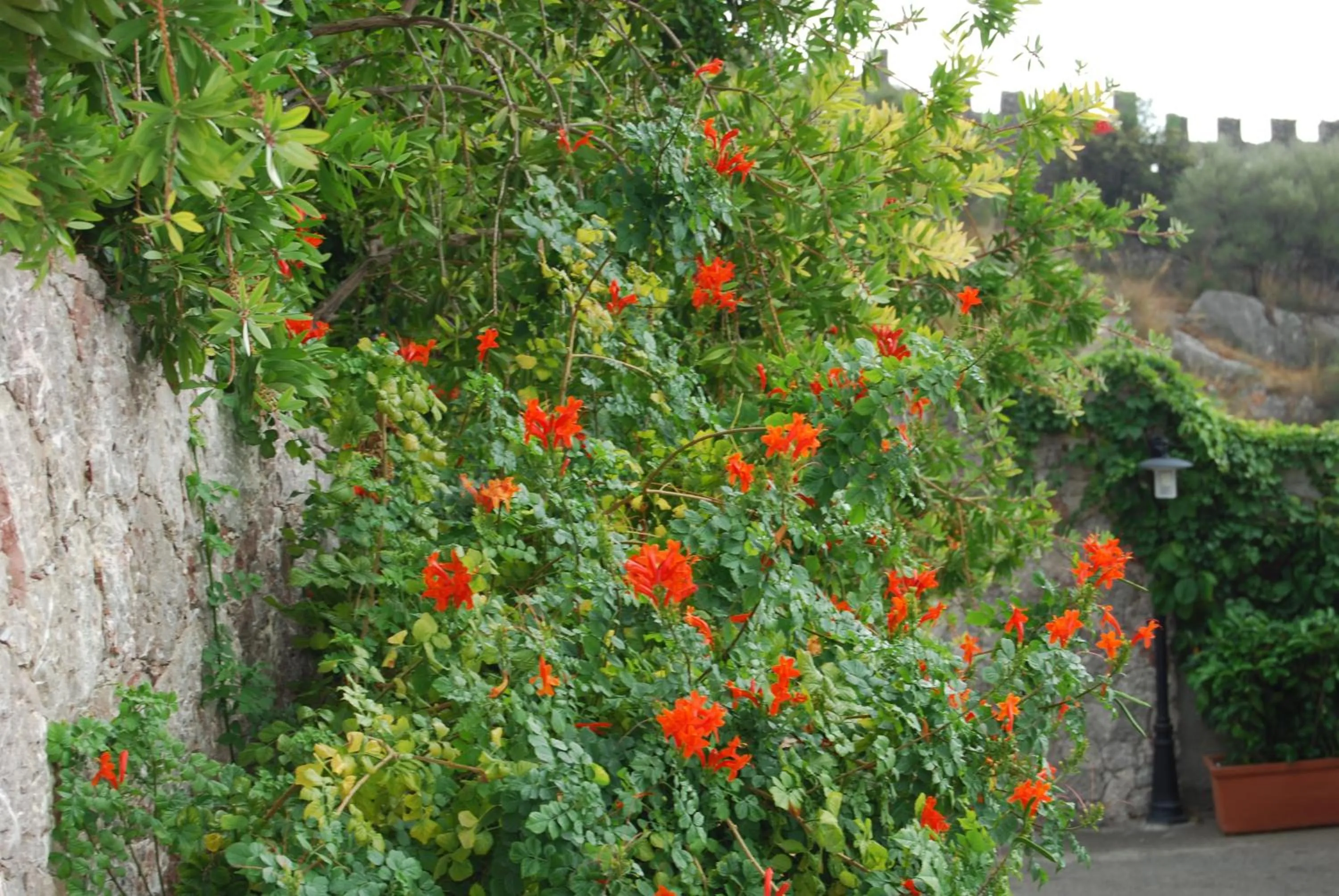 Other in Villa Angela