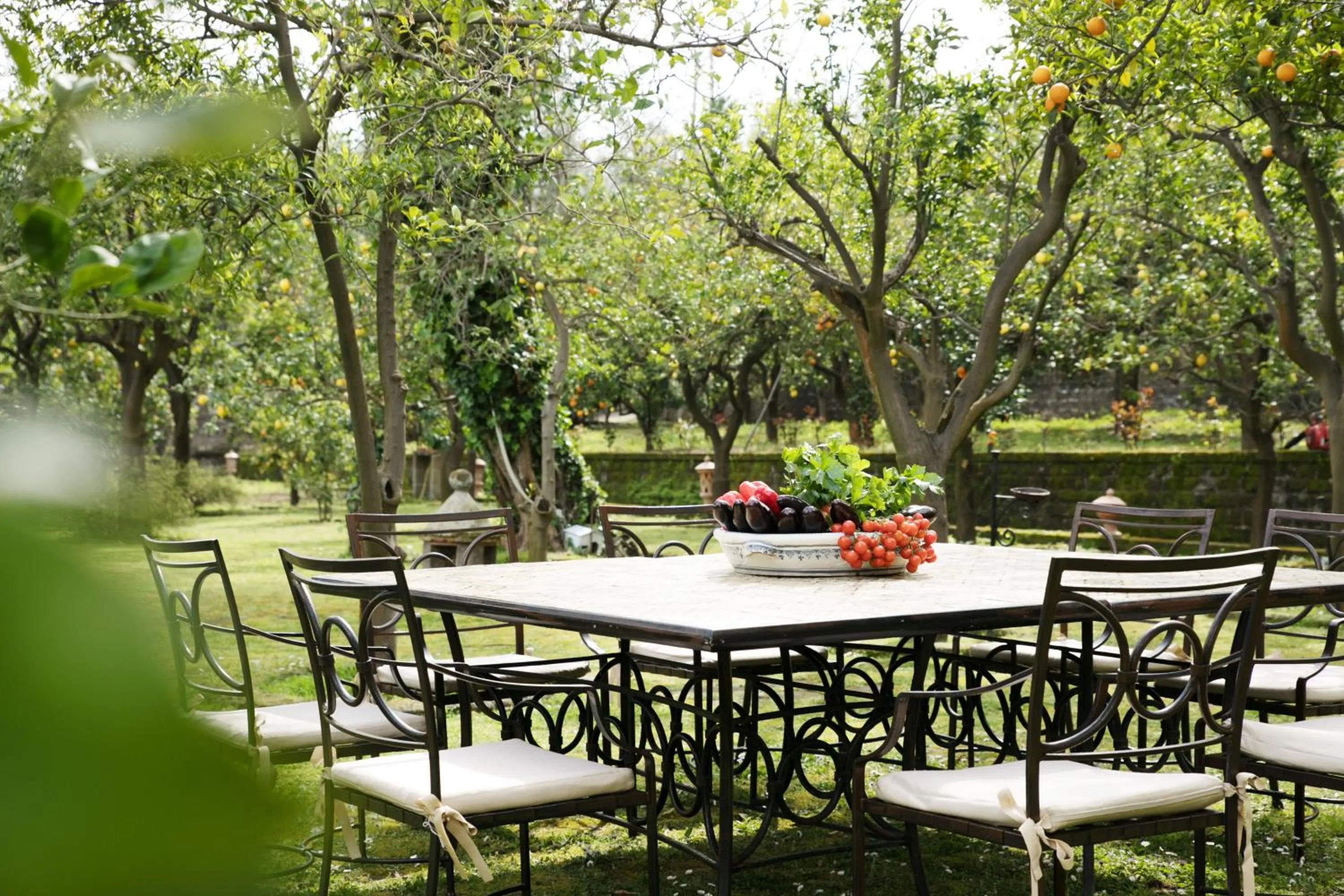 Garden in Hotel Conca Park