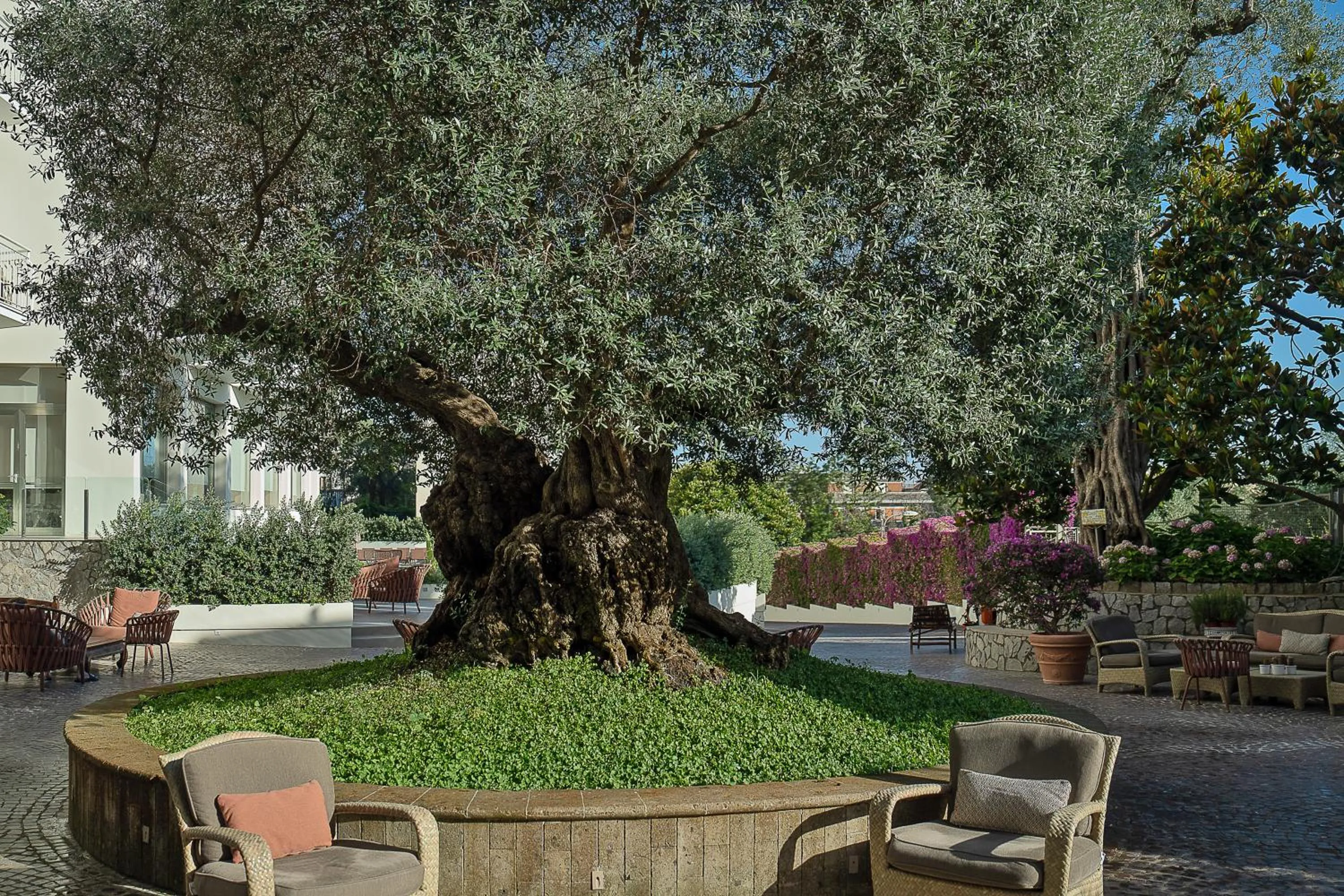 Seating area in Hotel Conca Park