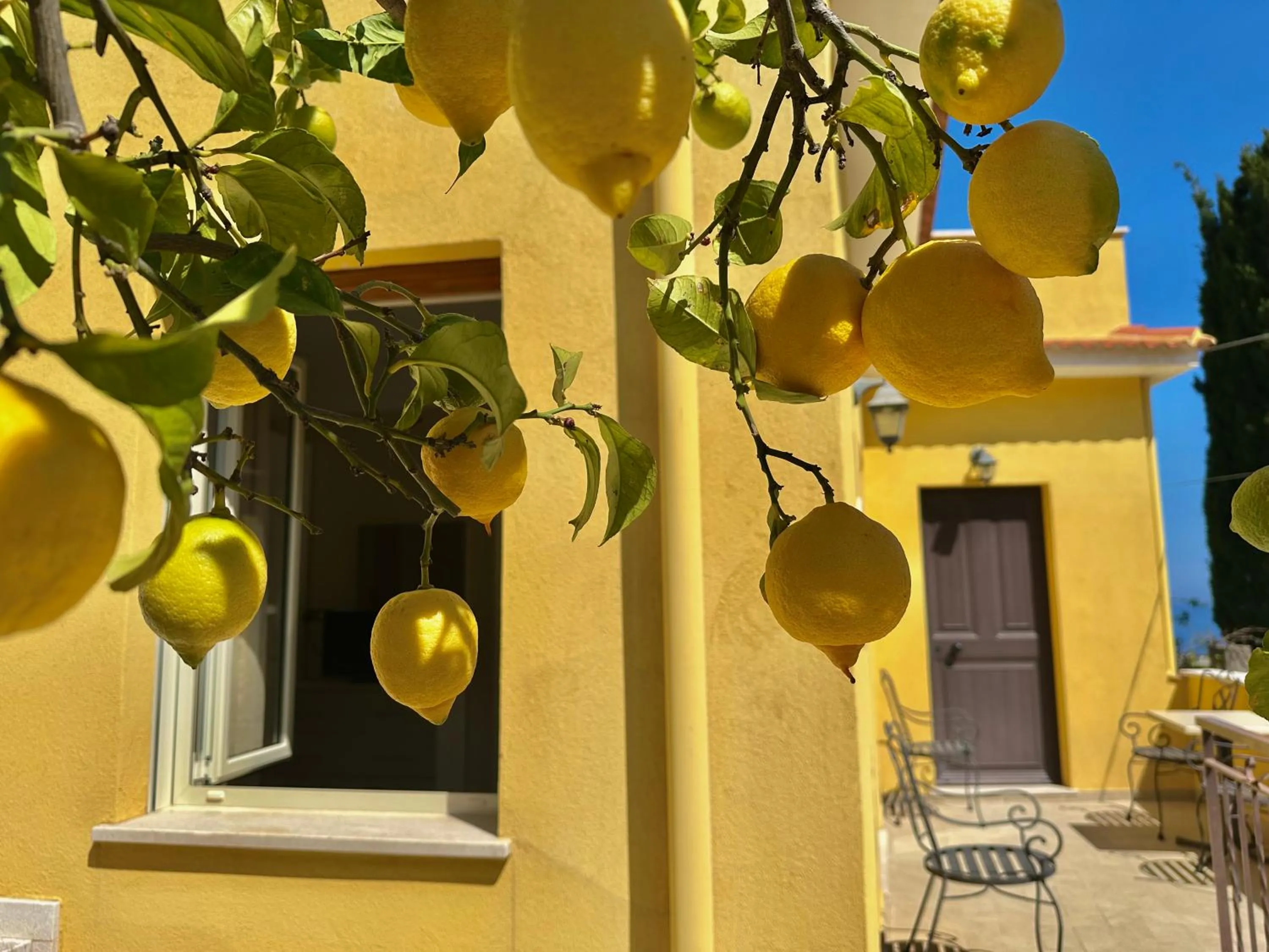 Facade/entrance in Hotel Soleado