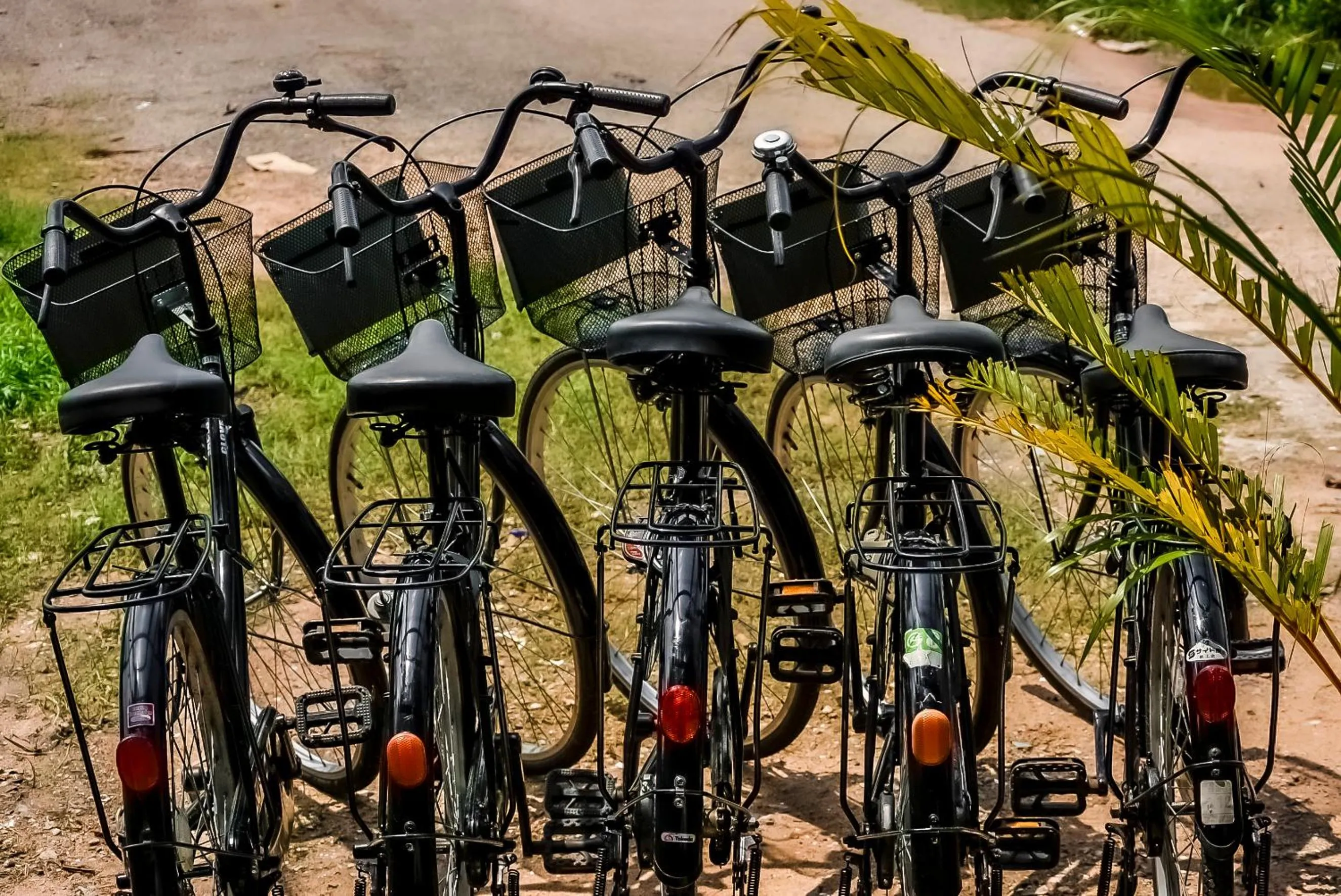 Cycling in Villa Agati