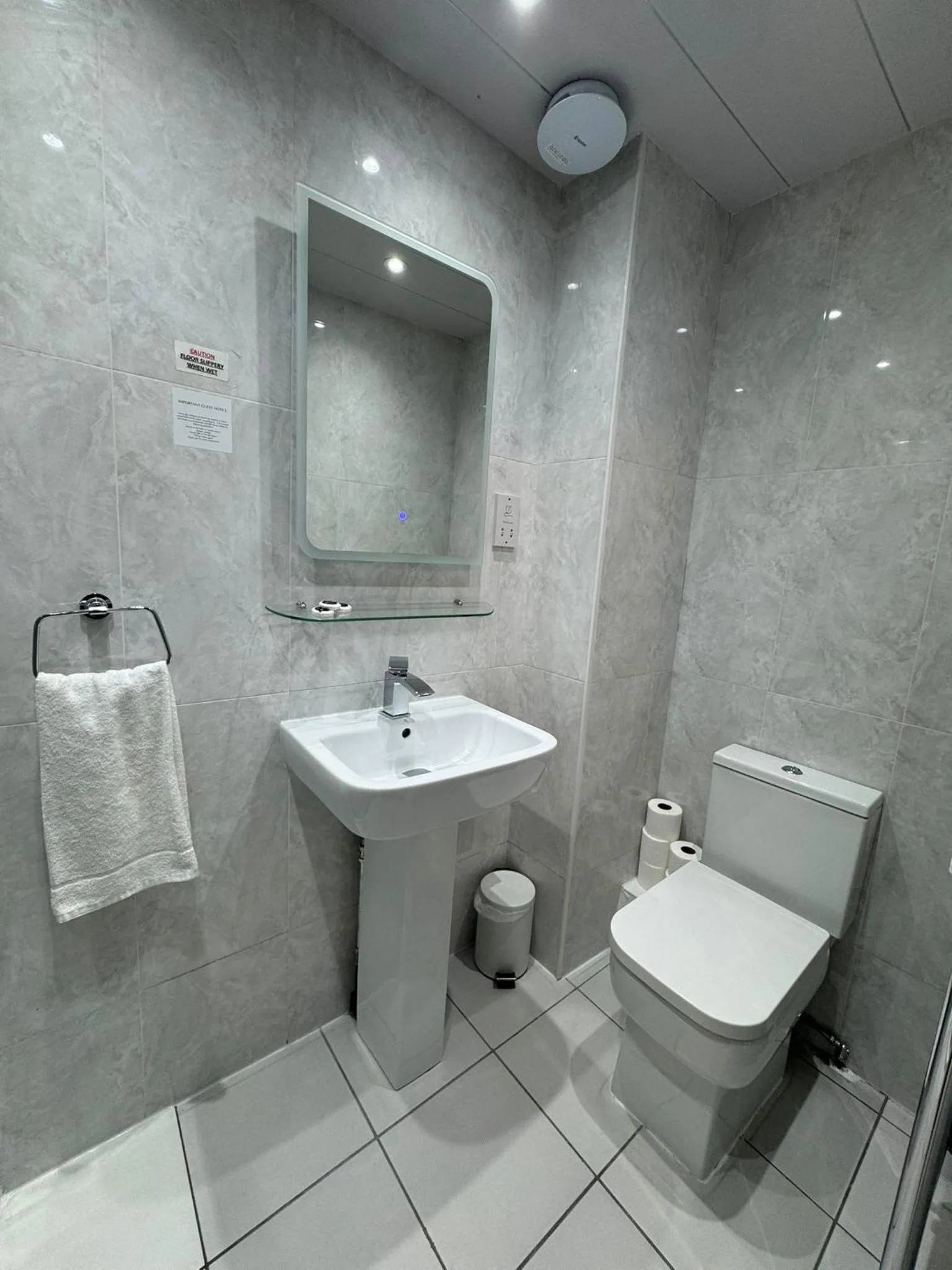 Toilet in Sandyford Lodge