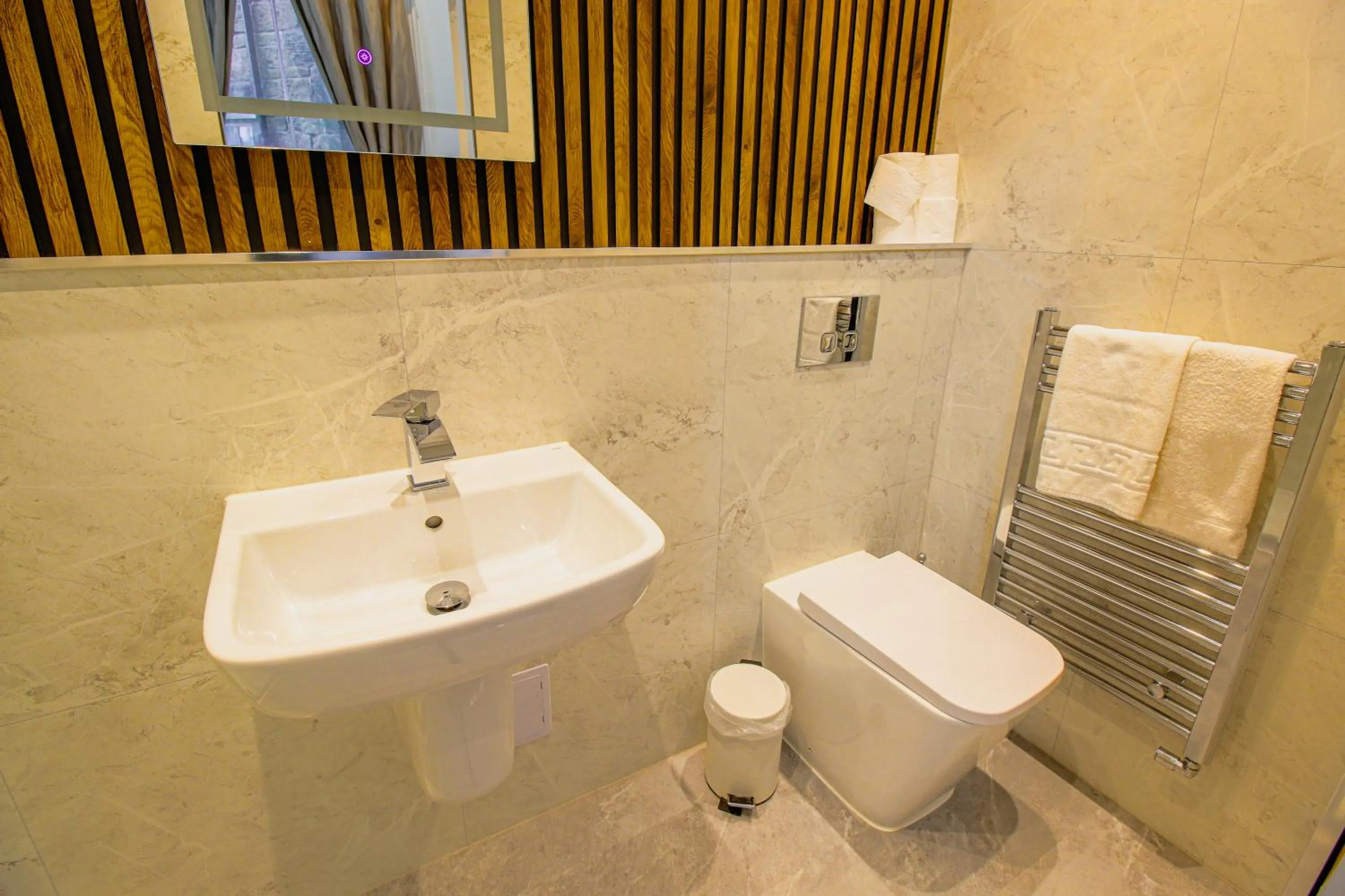 Toilet in Sandyford Lodge