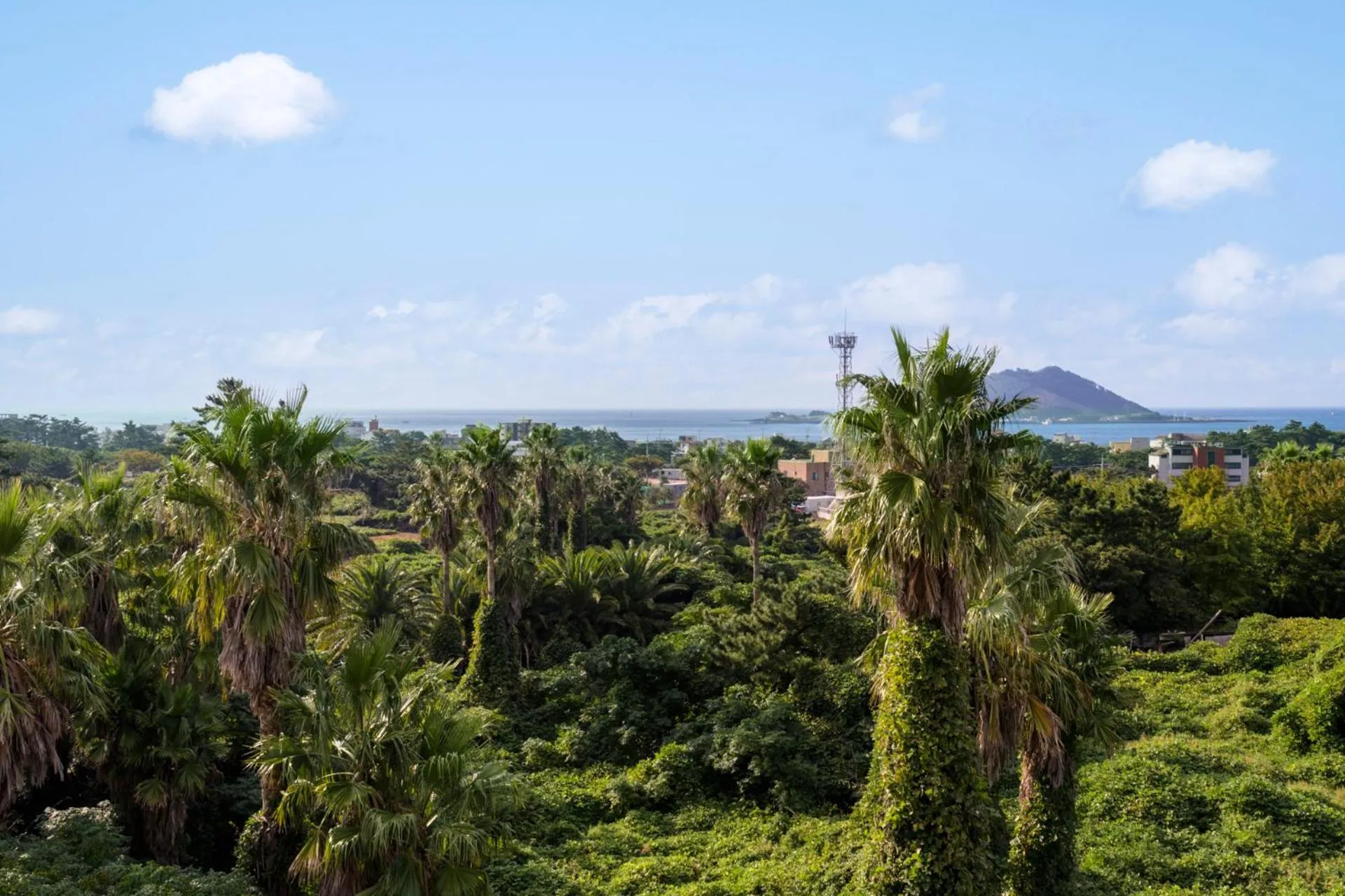 Sea view in Liverpool & Spa