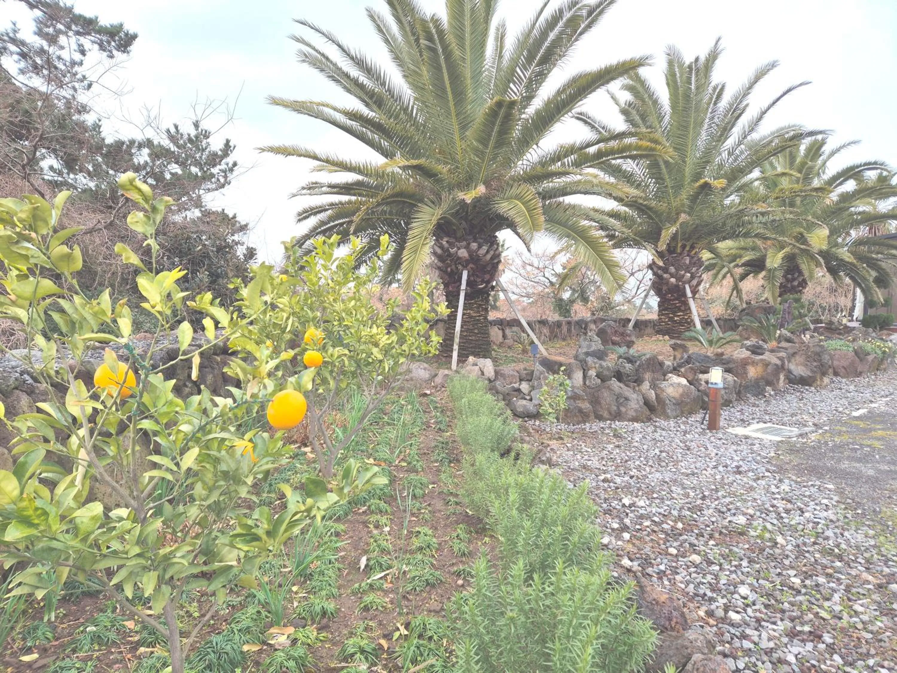 Garden view in Liverpool & Spa