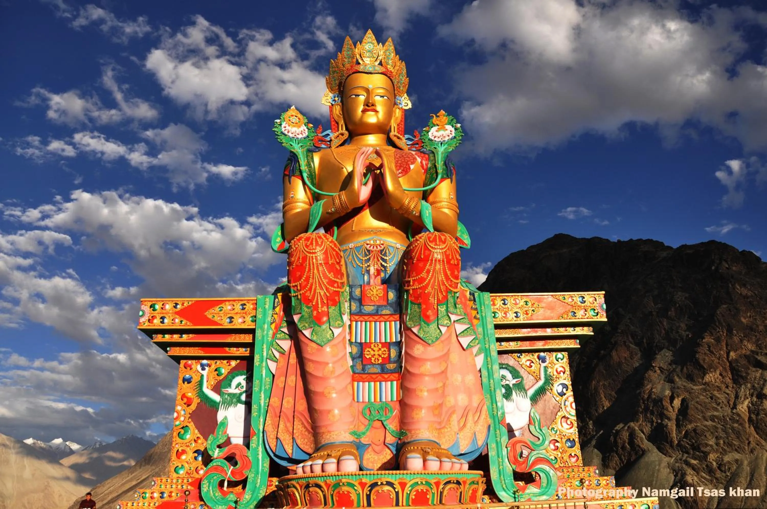 Neighbourhood in Karma Lodge Leh