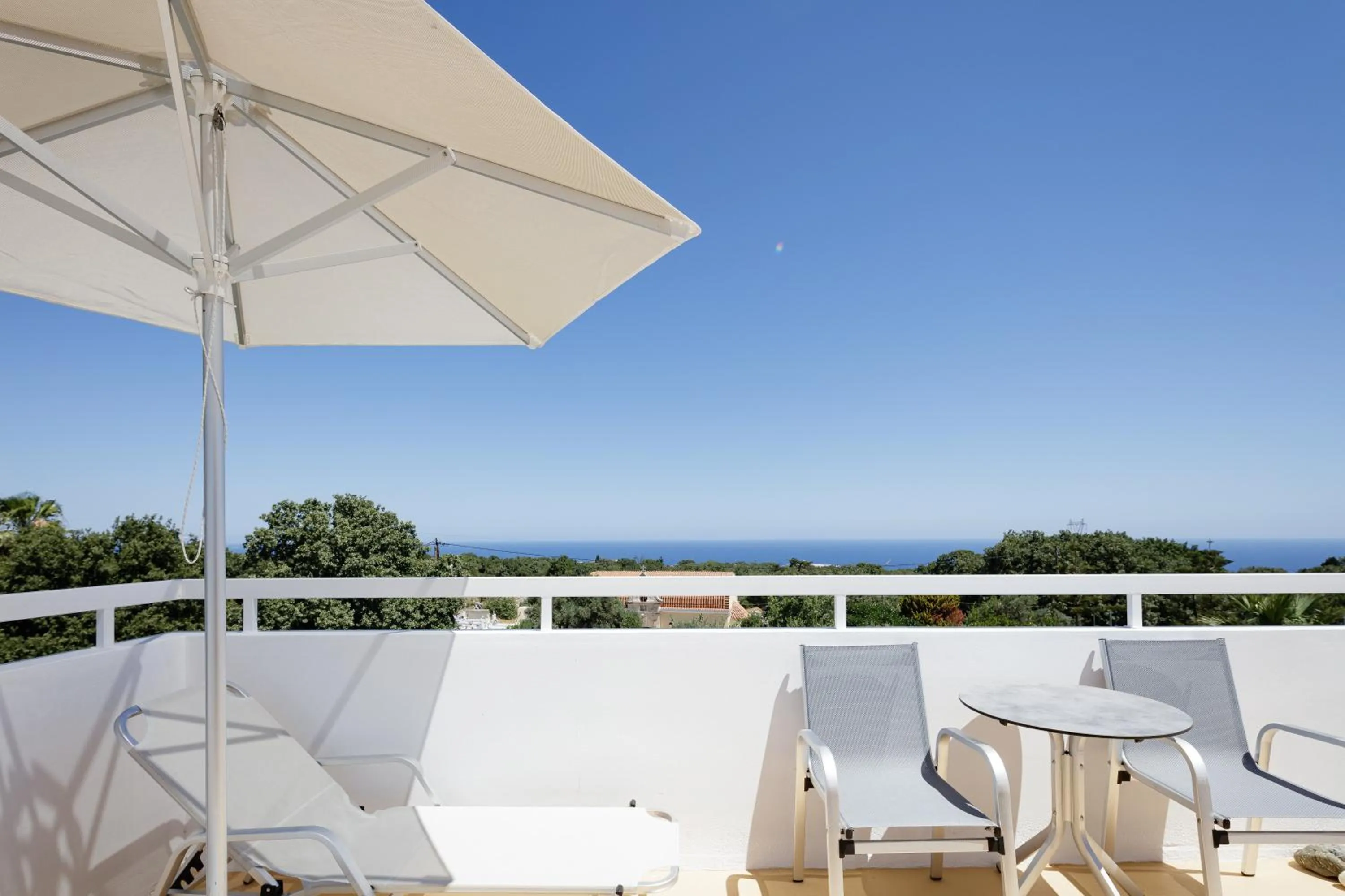 Natural landscape in Coconut Palm Paradise