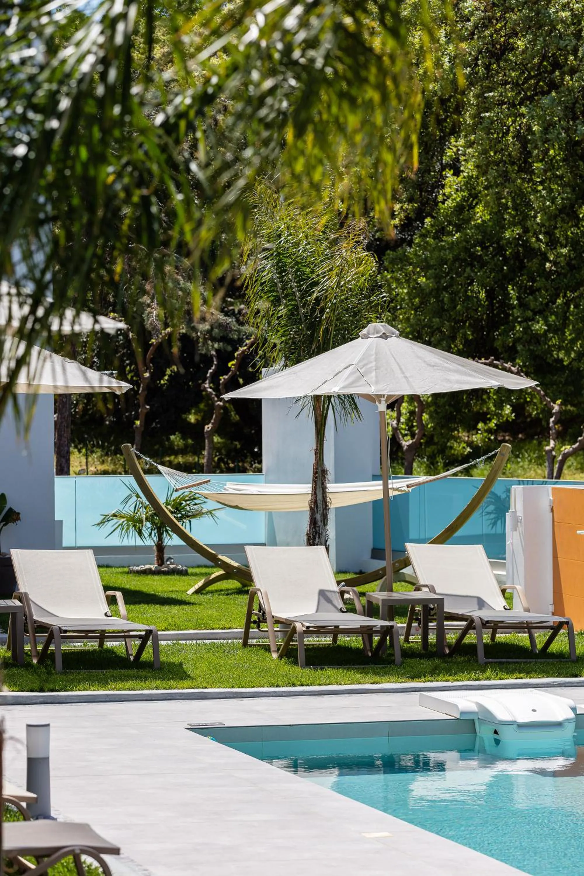 Garden in Coconut Palm Paradise