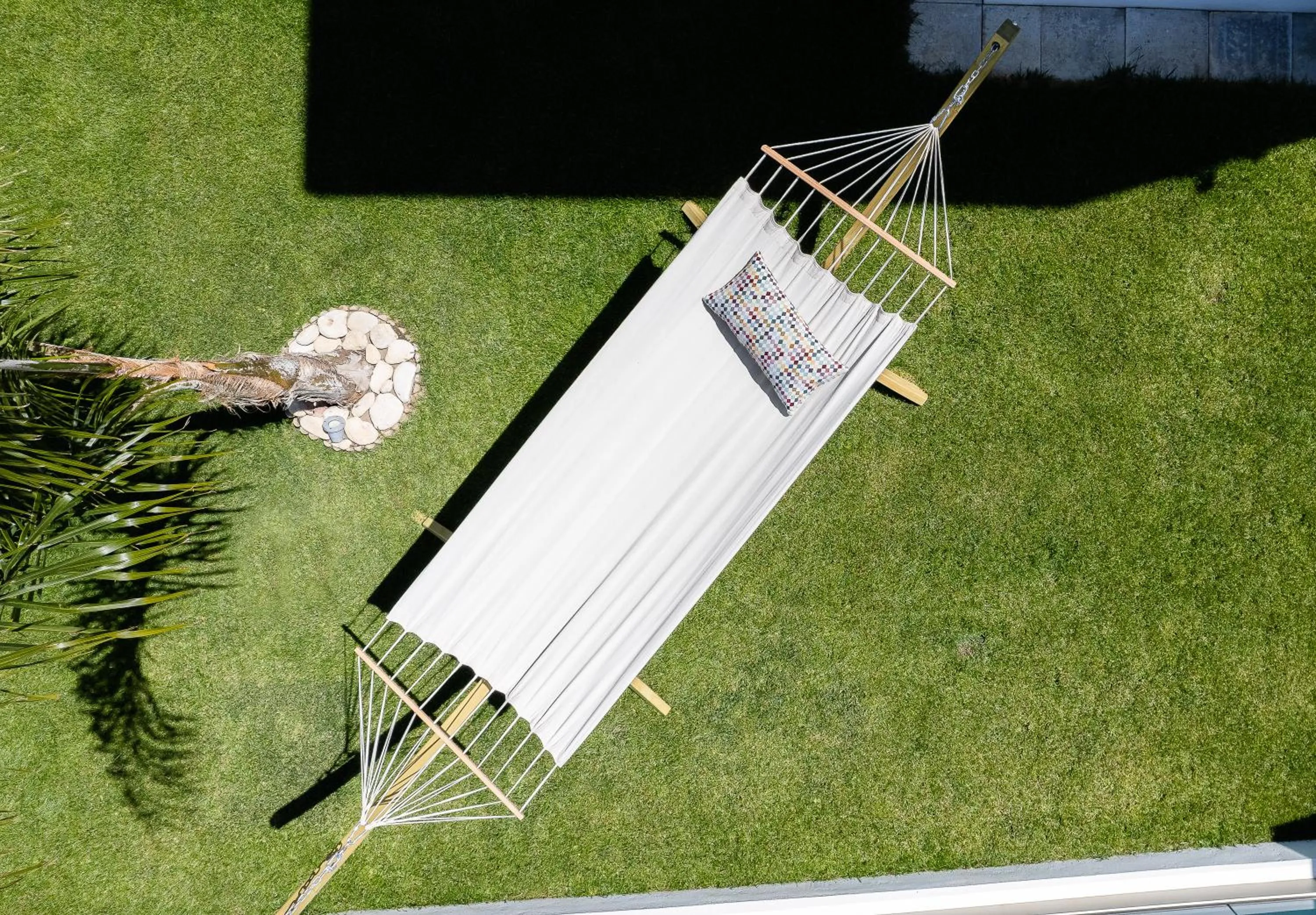 Spring in Coconut Palm Paradise