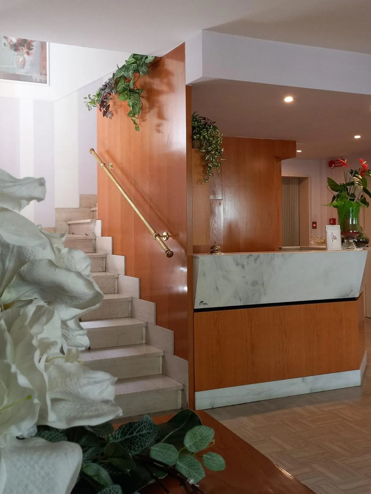 Lobby or reception in Hotel Solidea