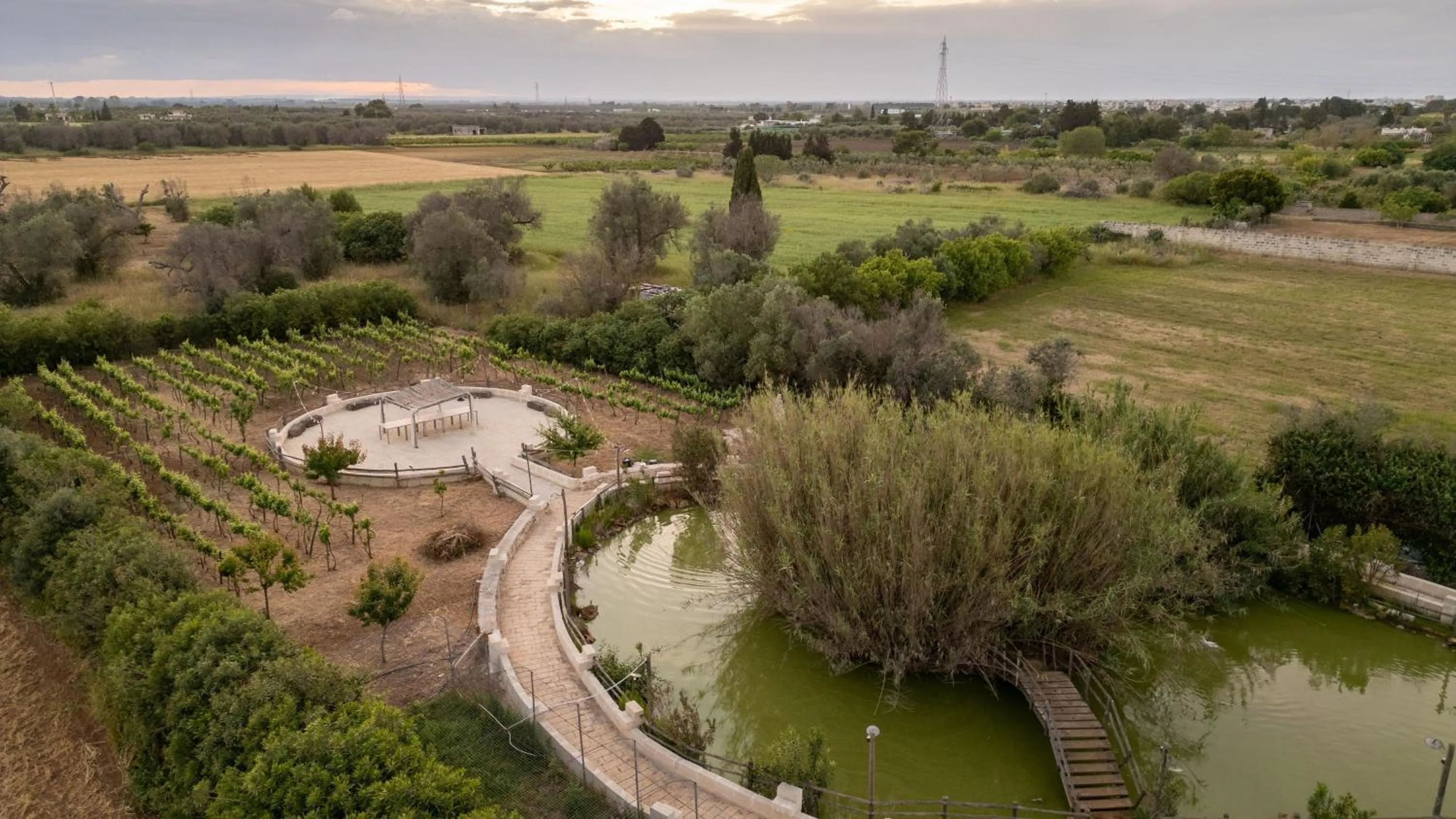 wedding in Masseria Messapia Wine Resort & Spa Salento