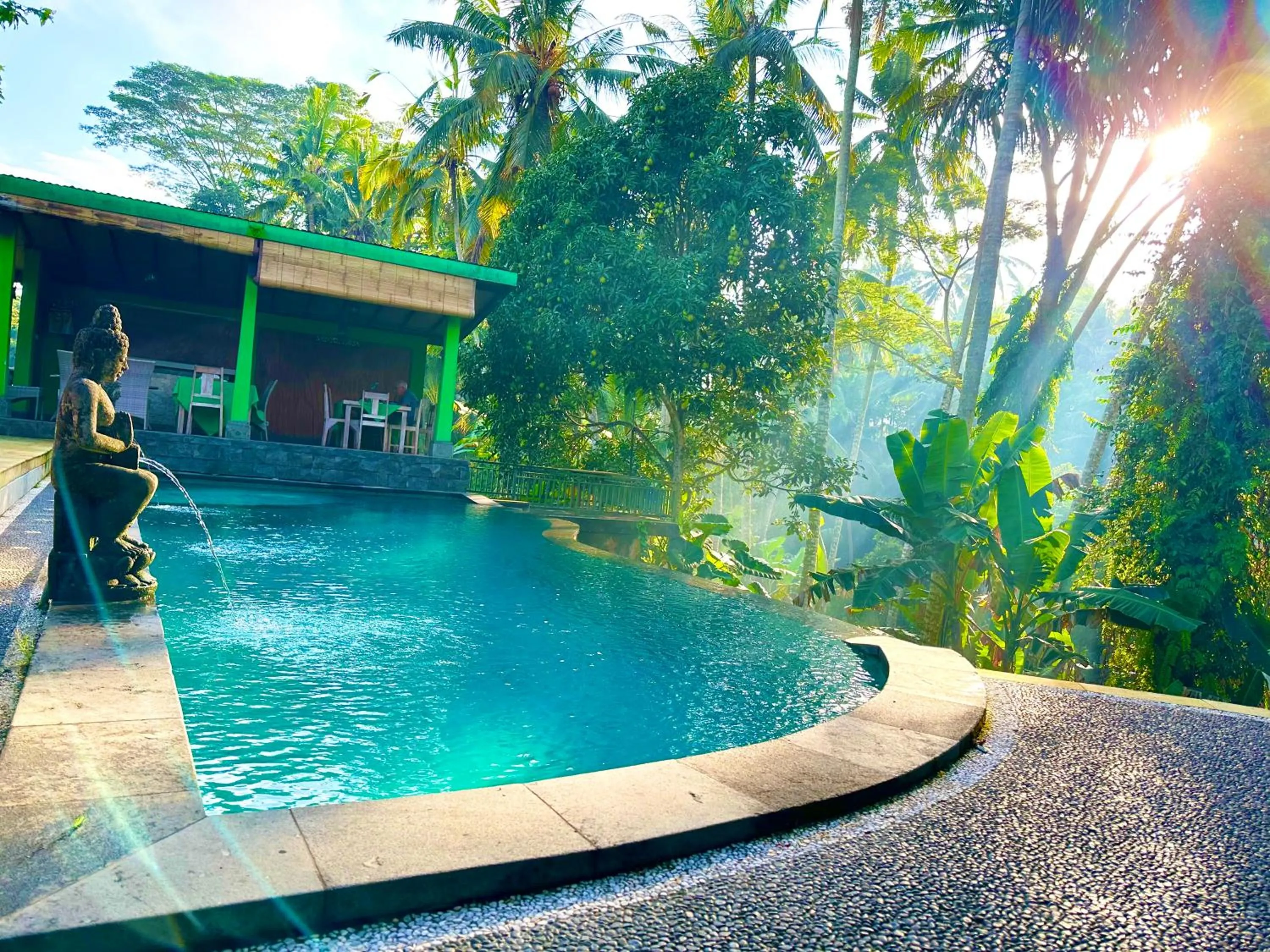 Swimming pool in Dupa Ubud