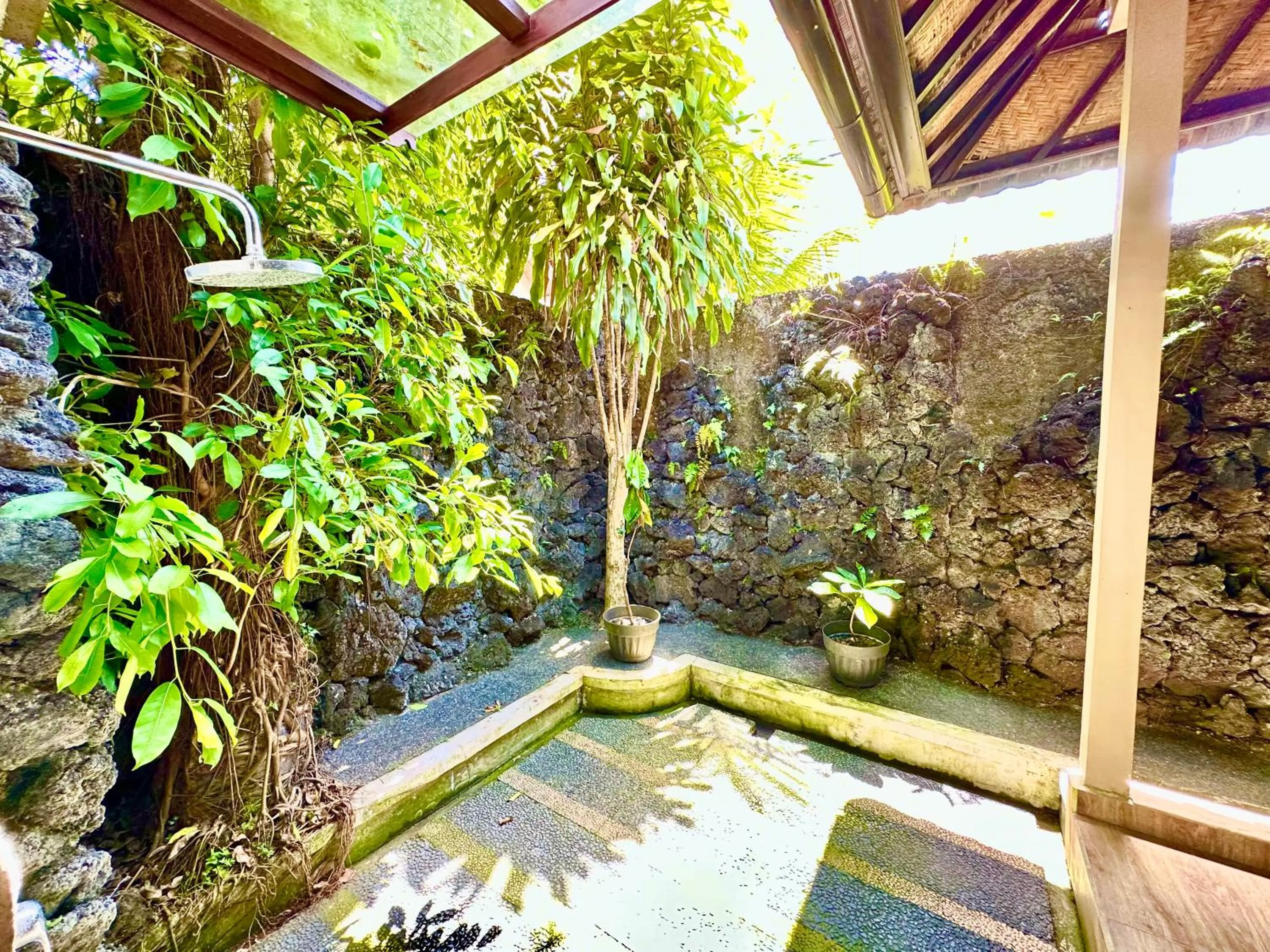 Property building in Dupa Ubud