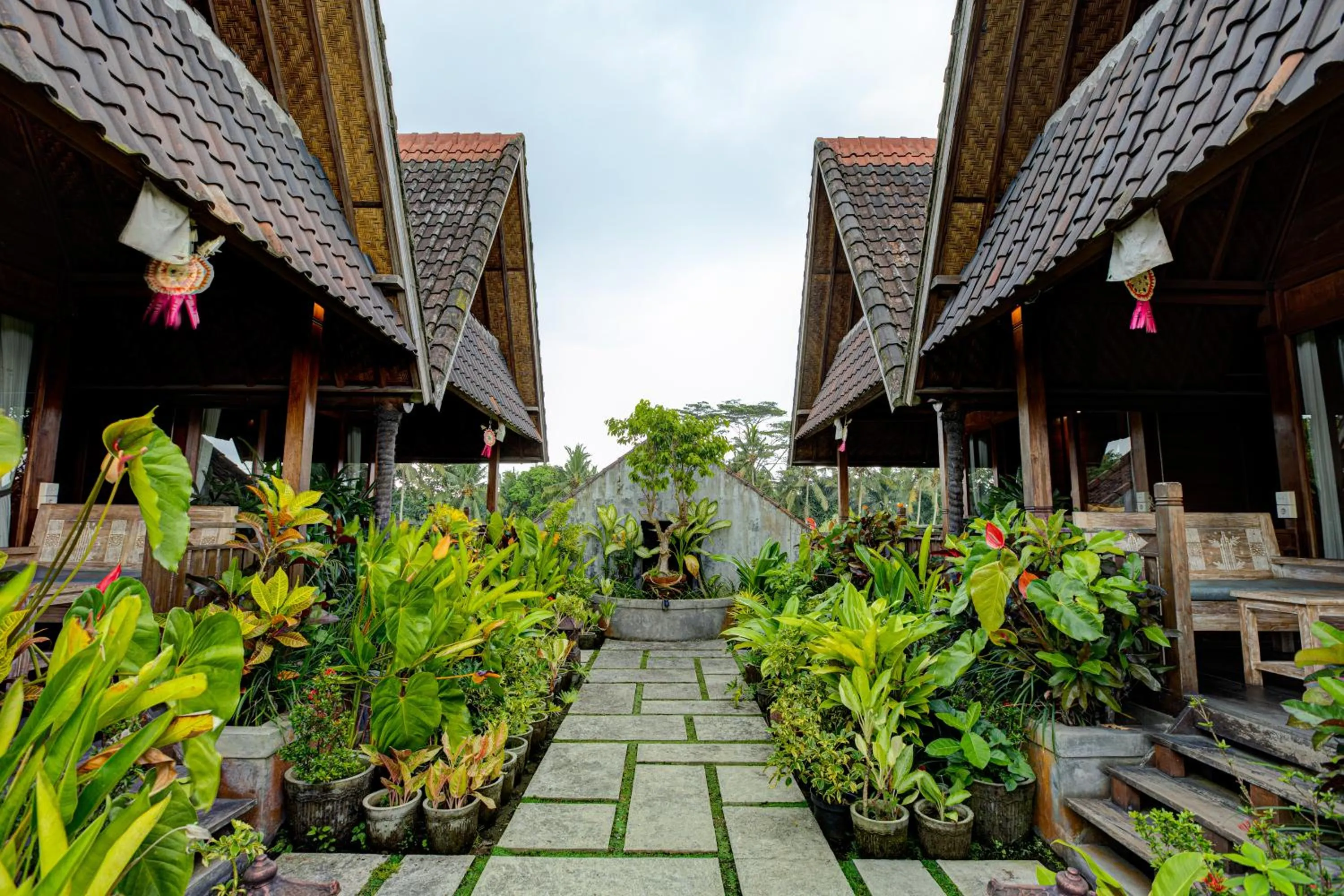 Property building in Dupa Ubud