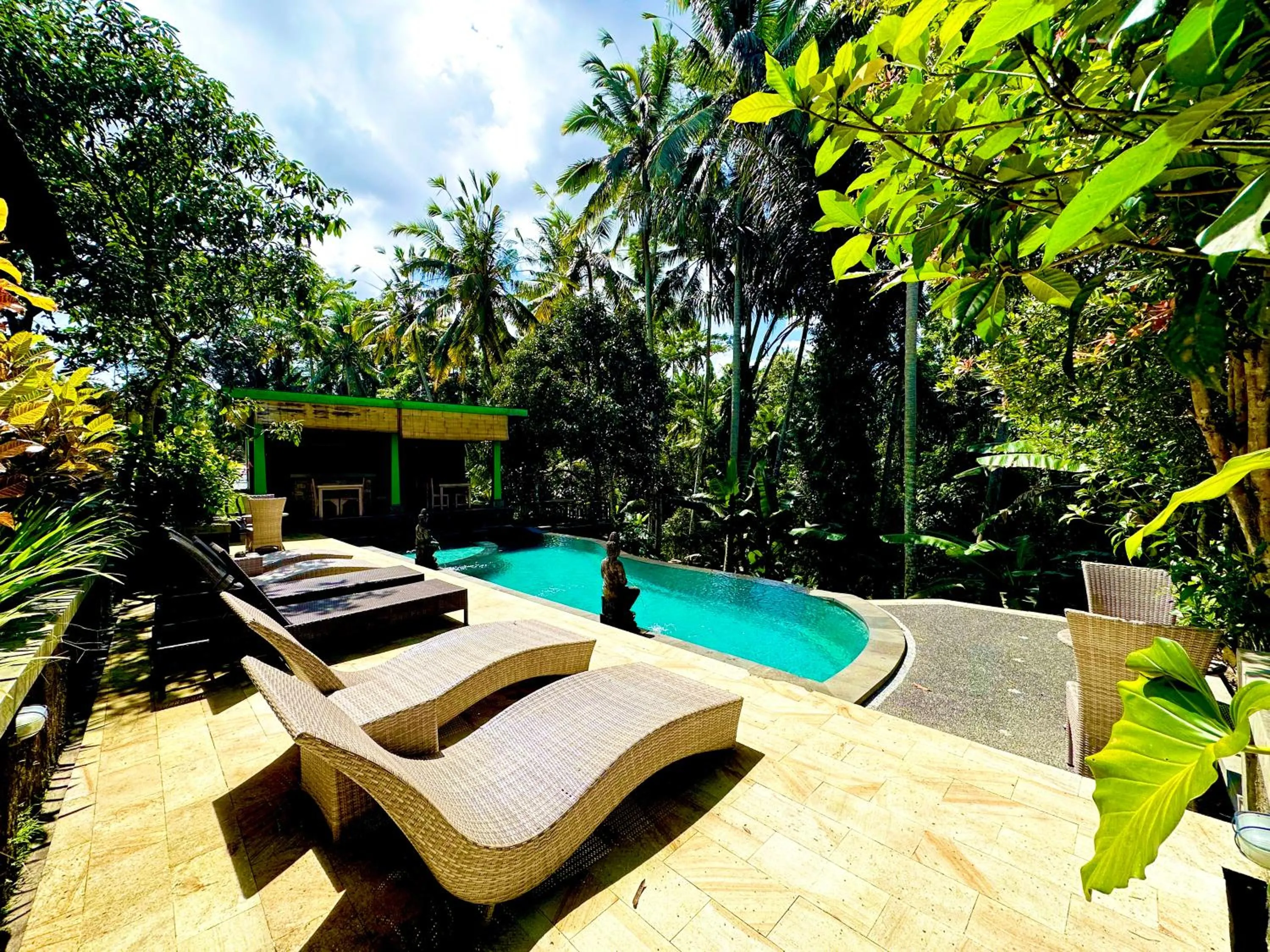 Swimming pool in Dupa Ubud