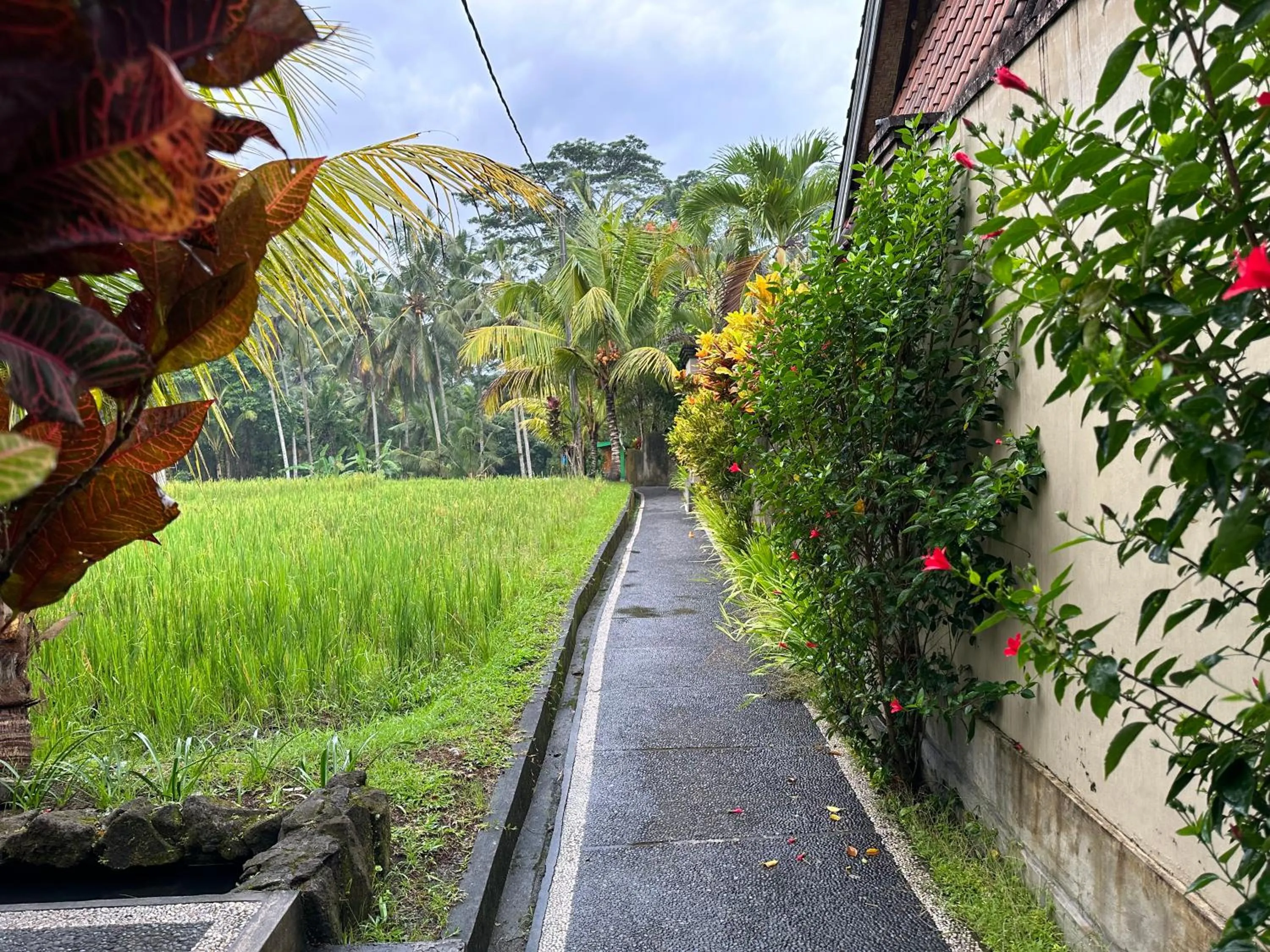 Property building in Dupa Ubud