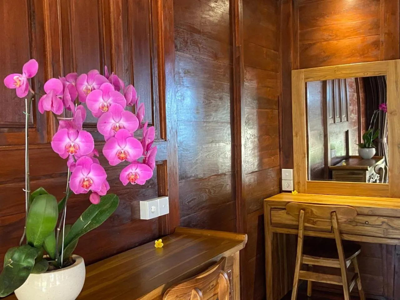 Property building in Dupa Ubud