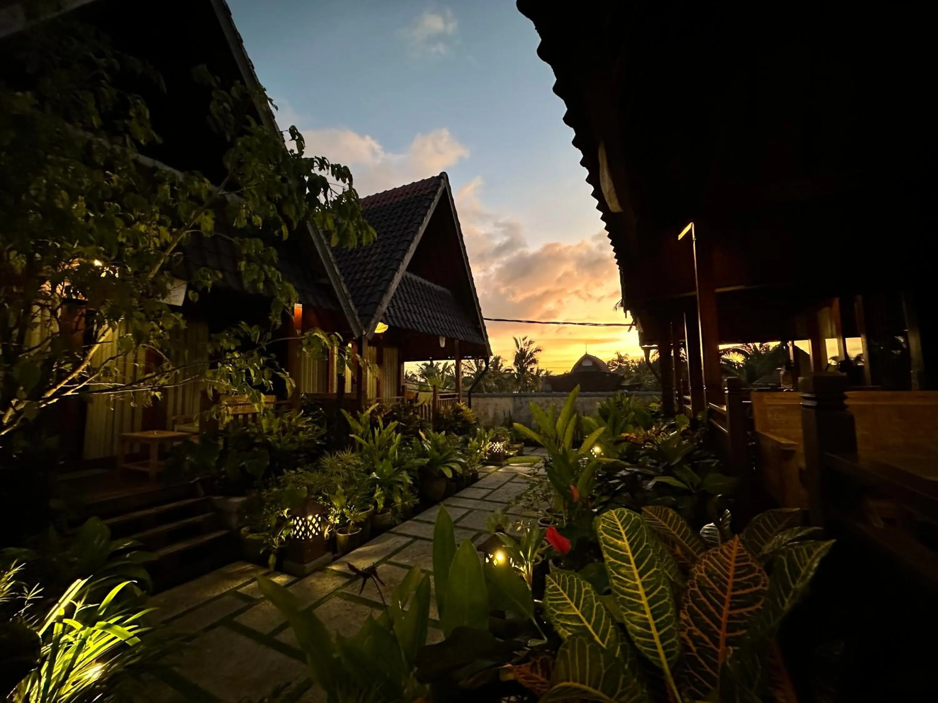 Night in Dupa Ubud