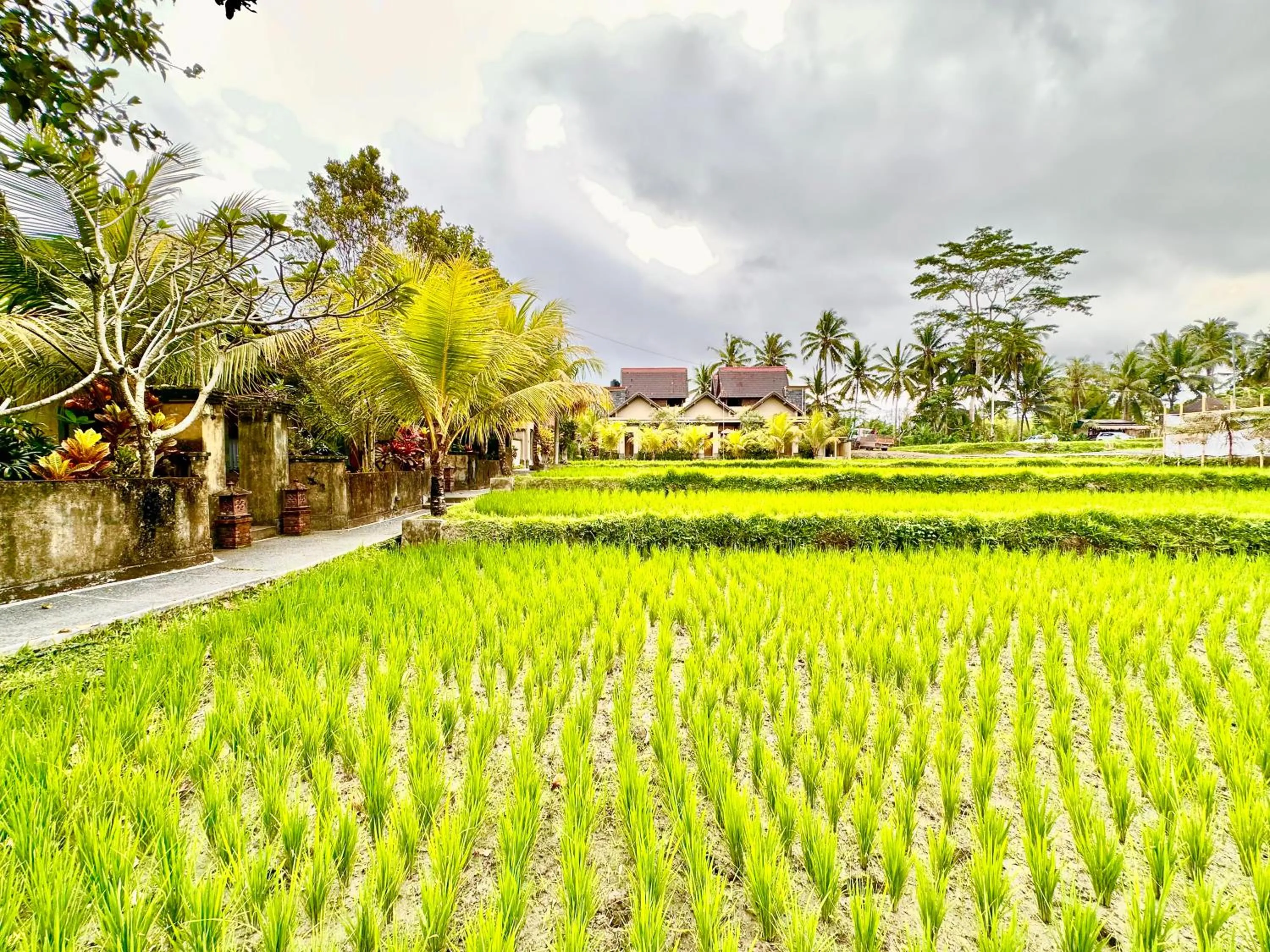 Property building in Dupa Ubud