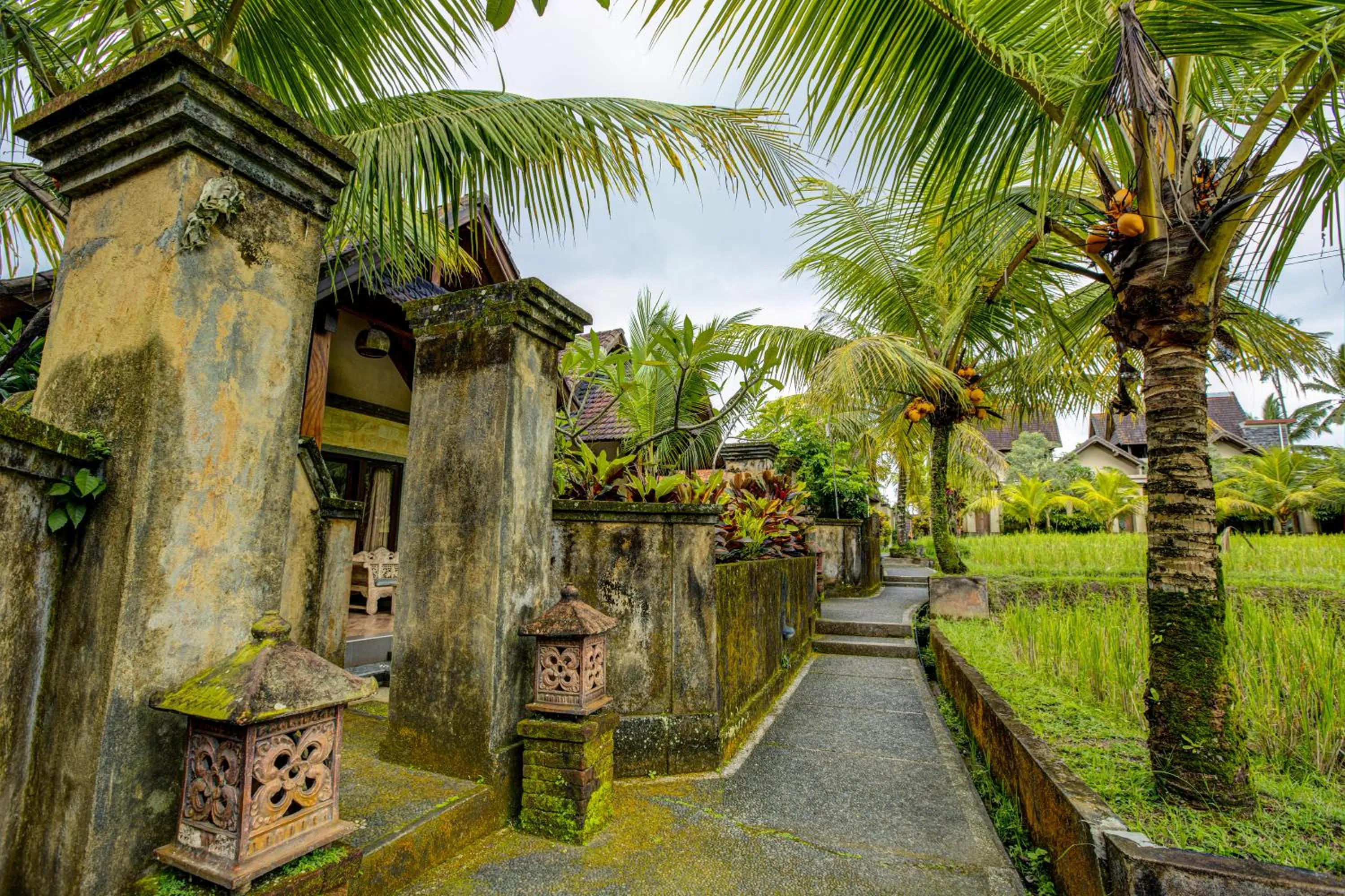 Property building in Dupa Ubud