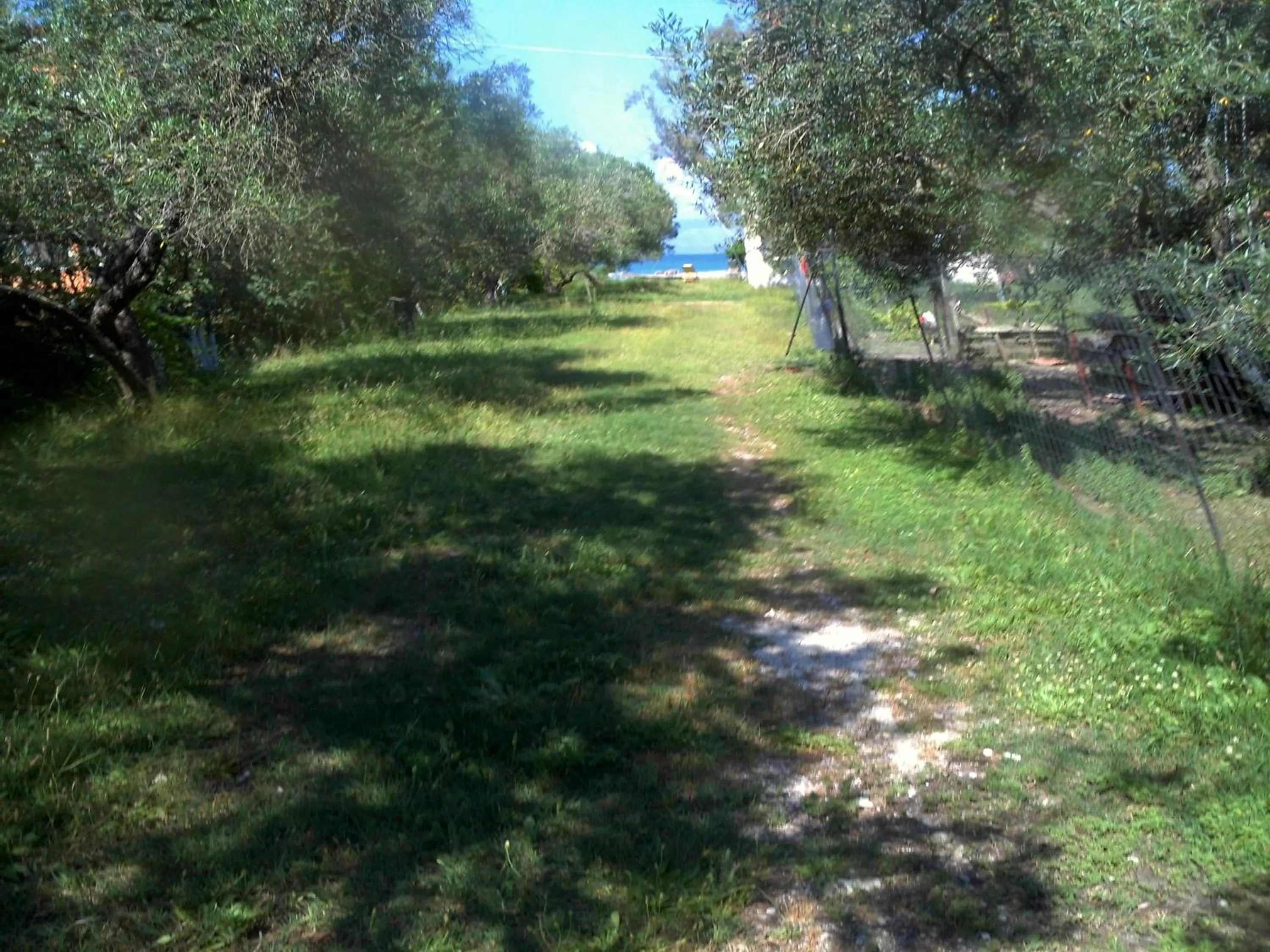 Garden in Captains Studios & Apartments