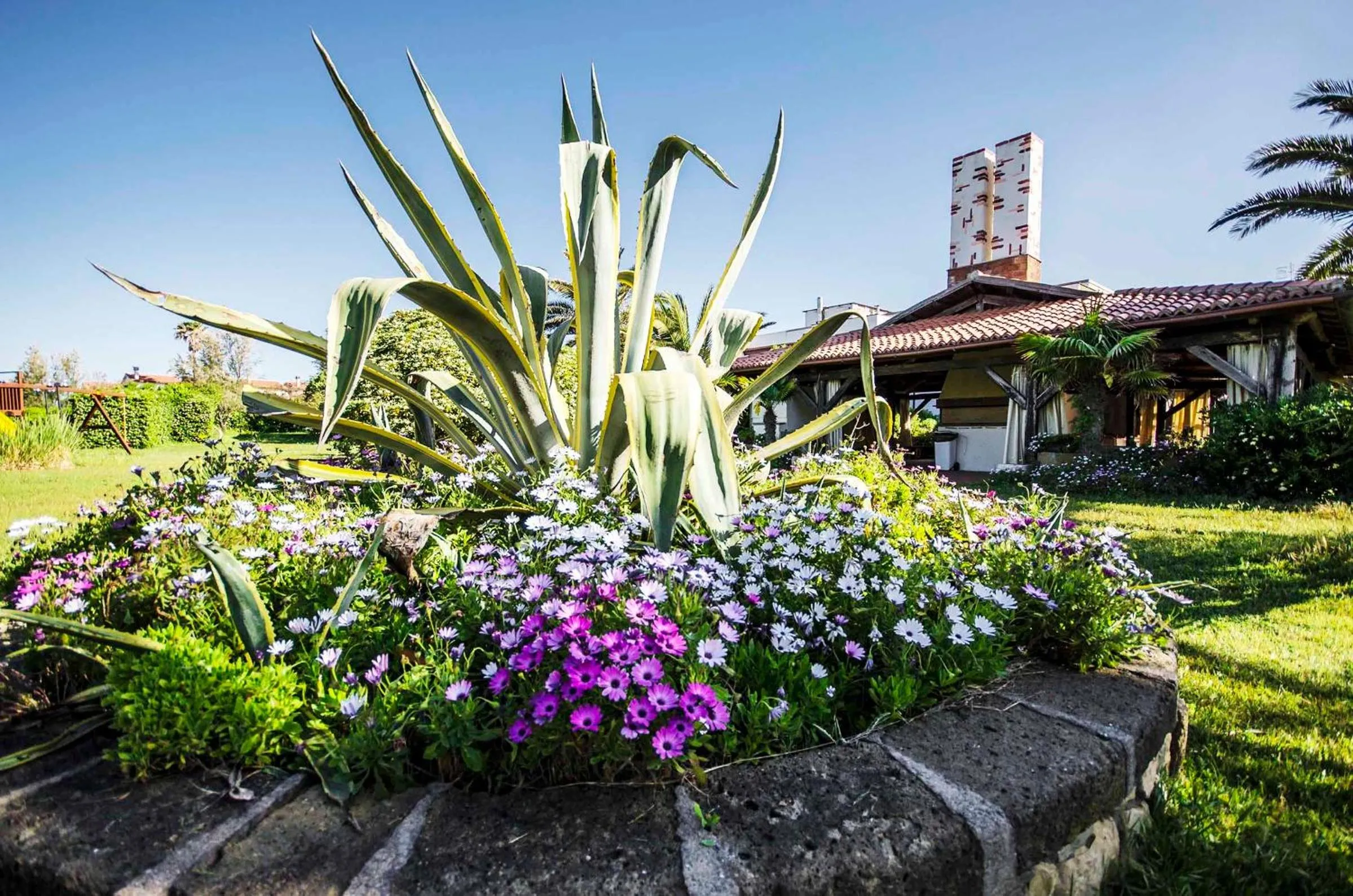 Garden in Torre Del Sole