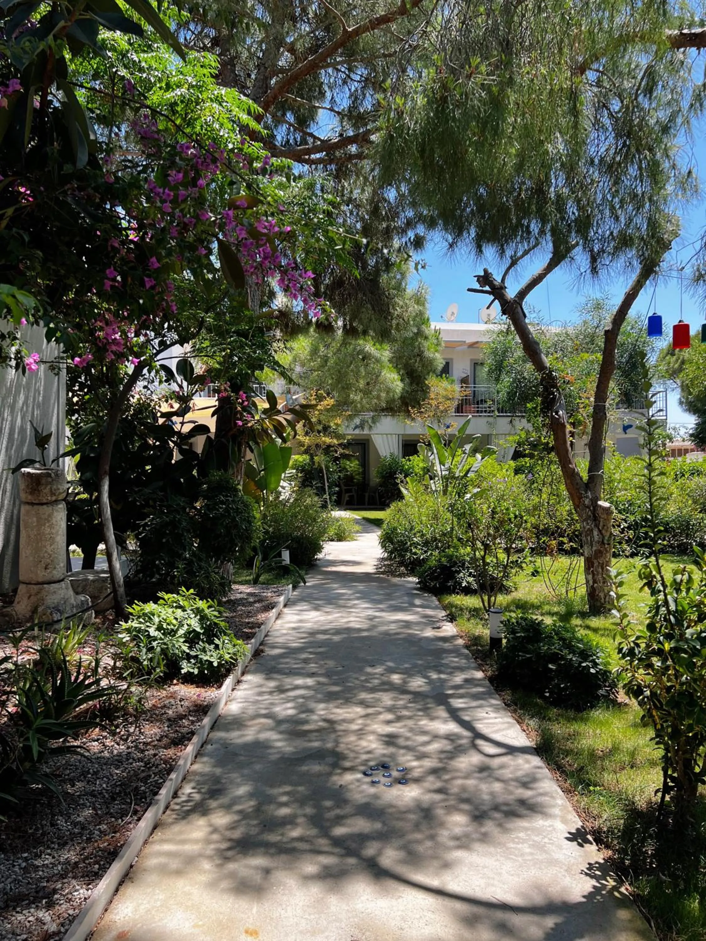 Natural landscape in ByAKKAN HOTEL