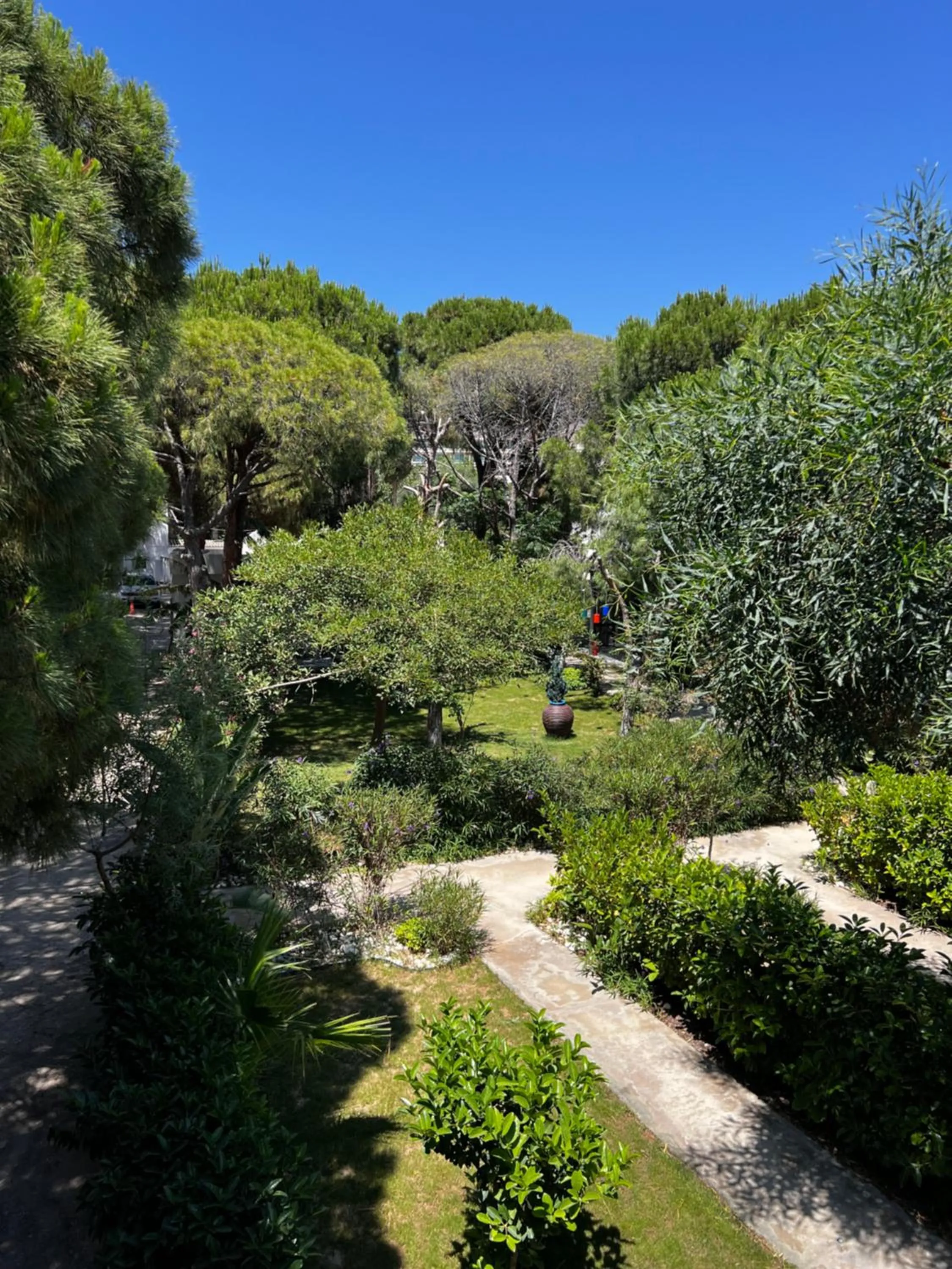 Natural landscape in ByAKKAN HOTEL
