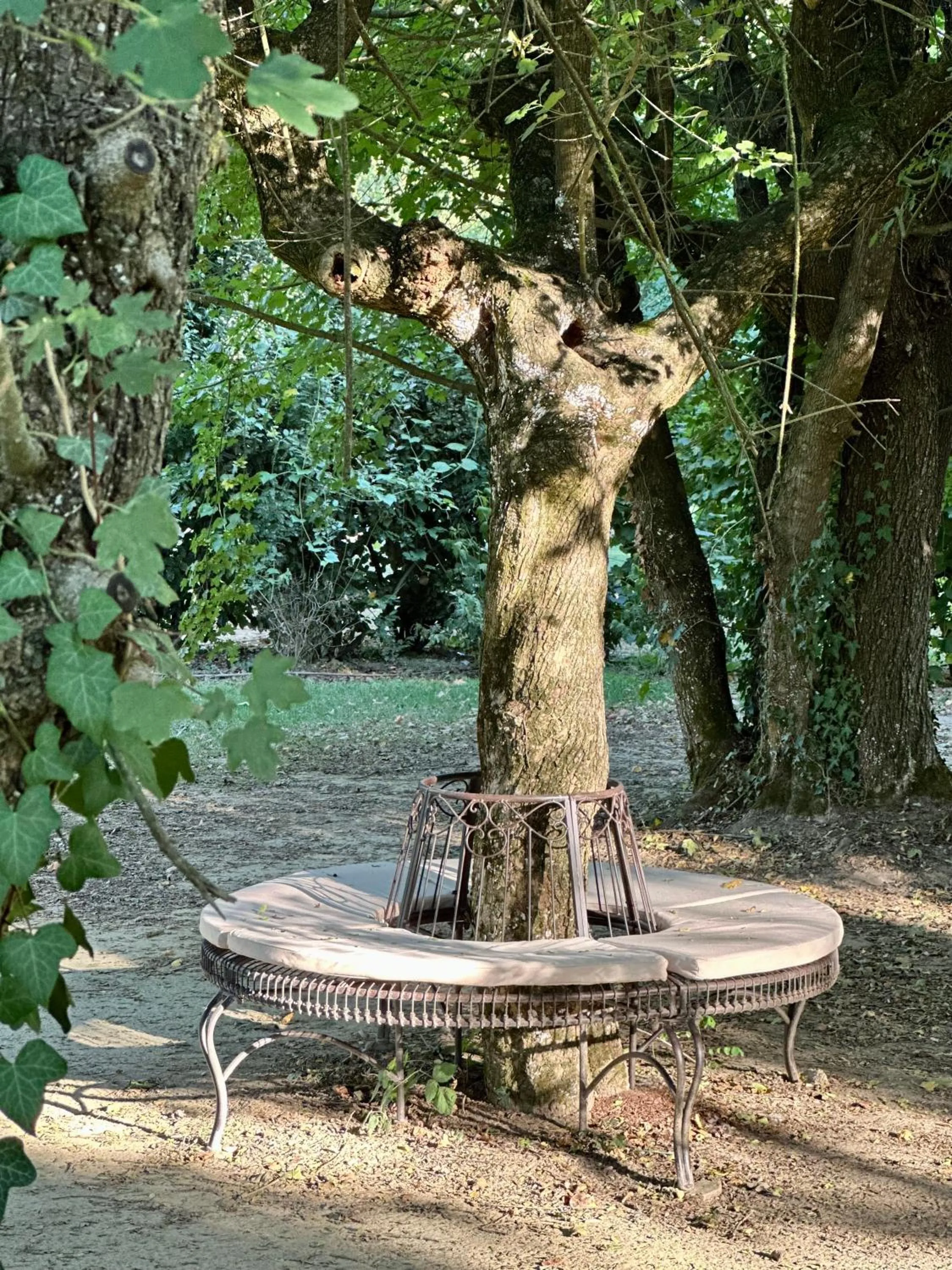 Garden in Casale La Gora - B&B di charme