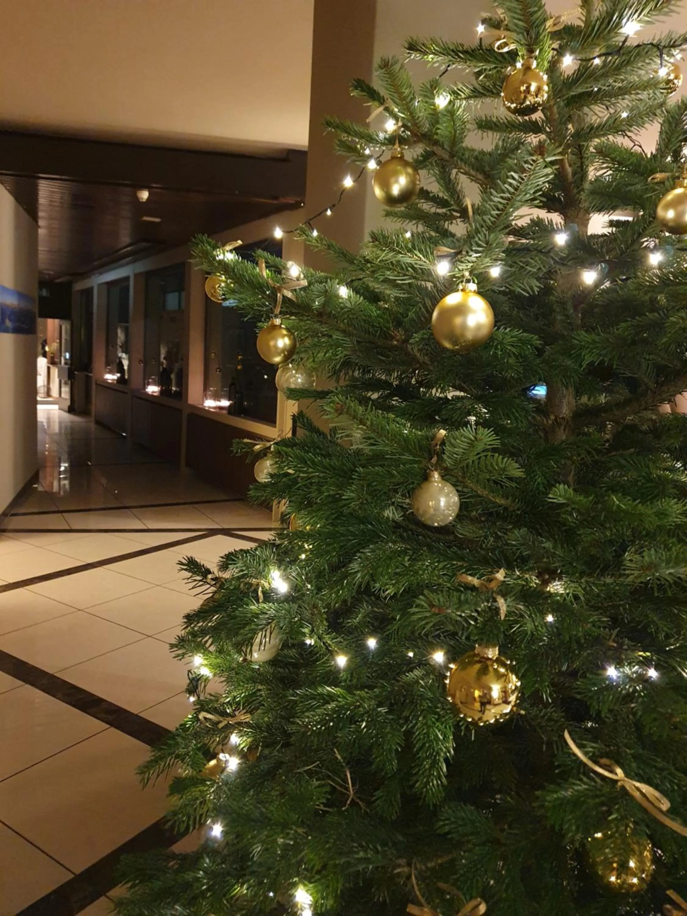 Lobby or reception in PanoramaHotel Penegal