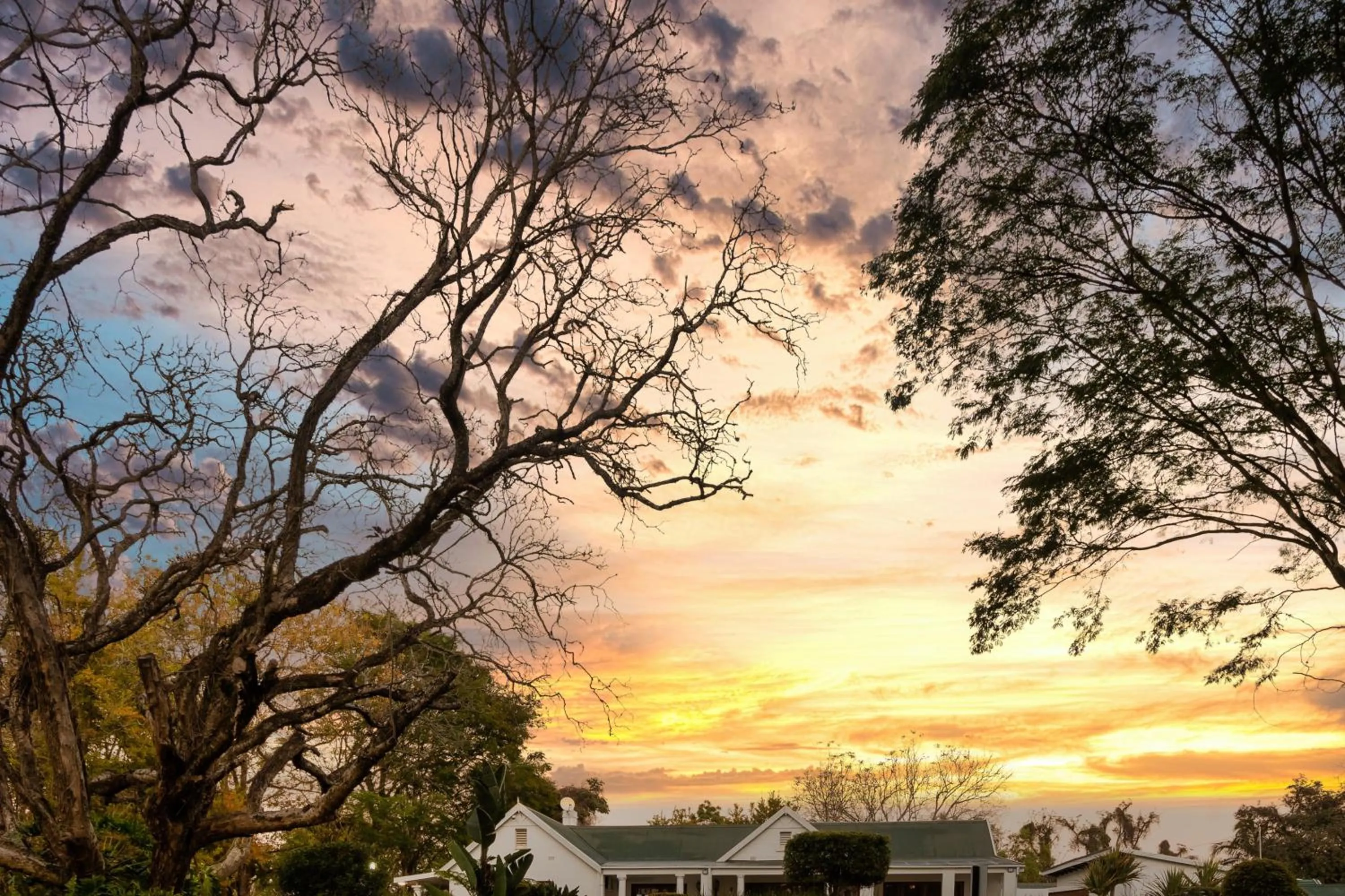 View (from property/room) in Nut Grove Boutique Hotel