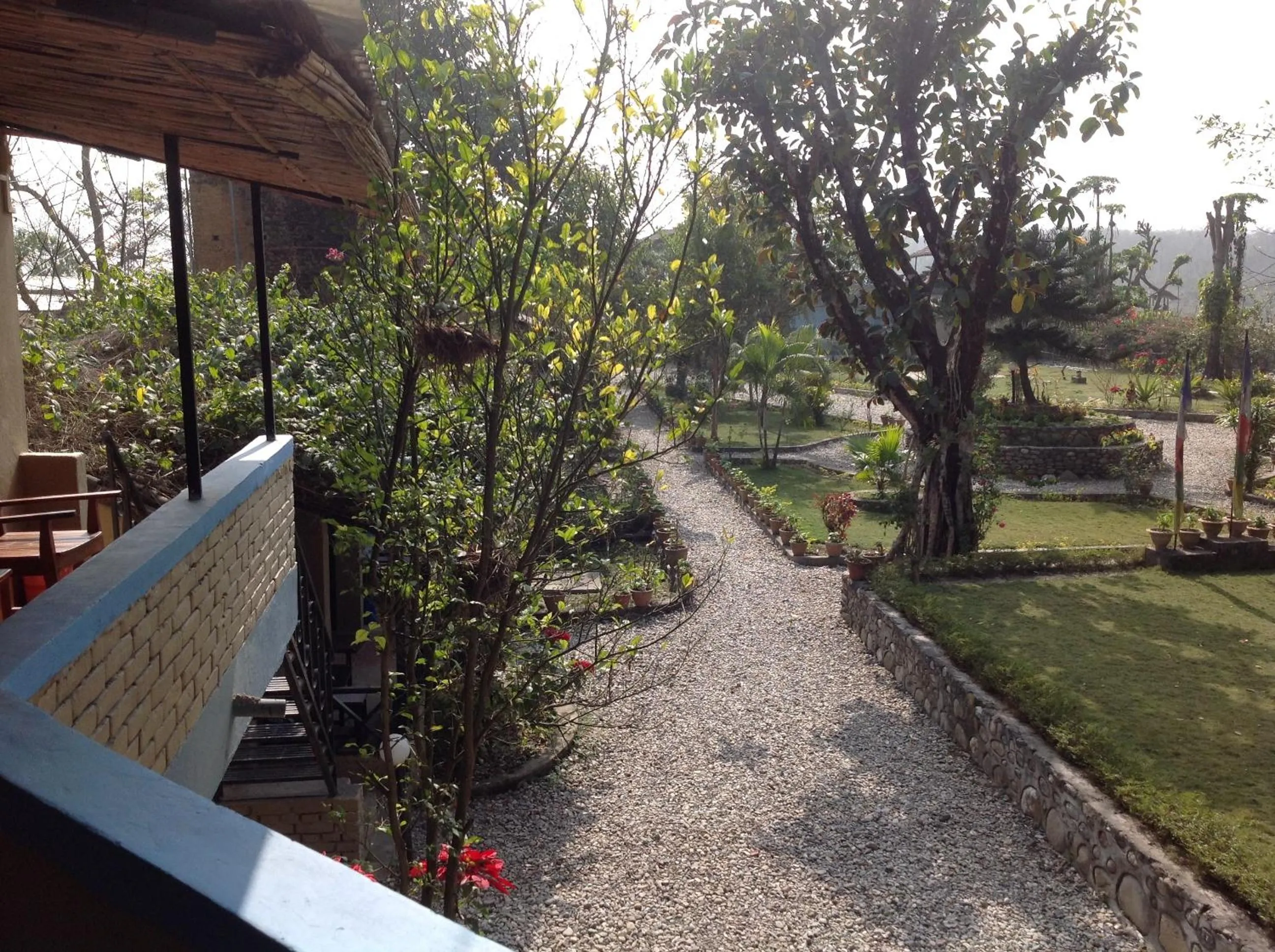 Area and facilities in Chitwan Tiger Camp