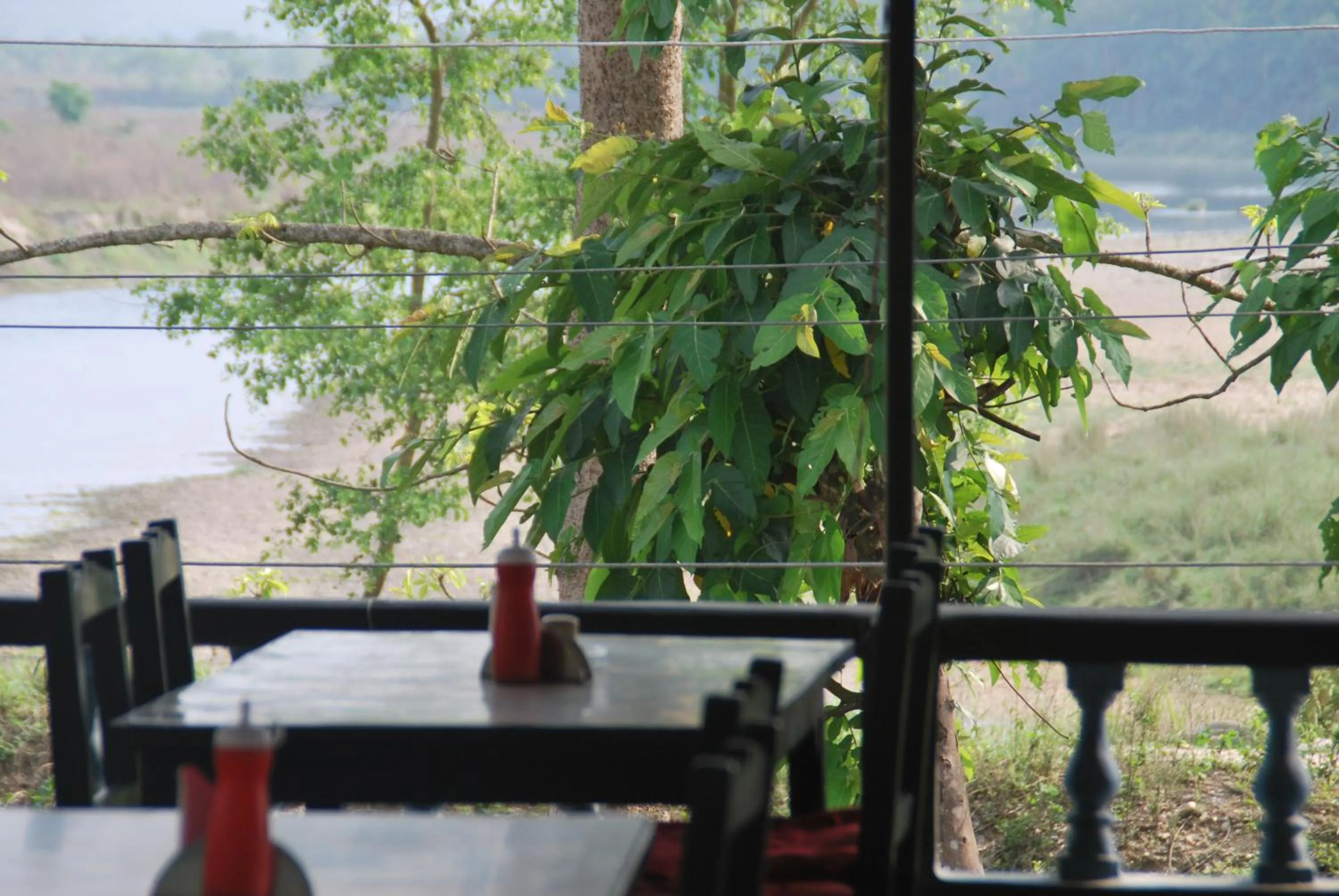 View (from property/room) in Chitwan Tiger Camp