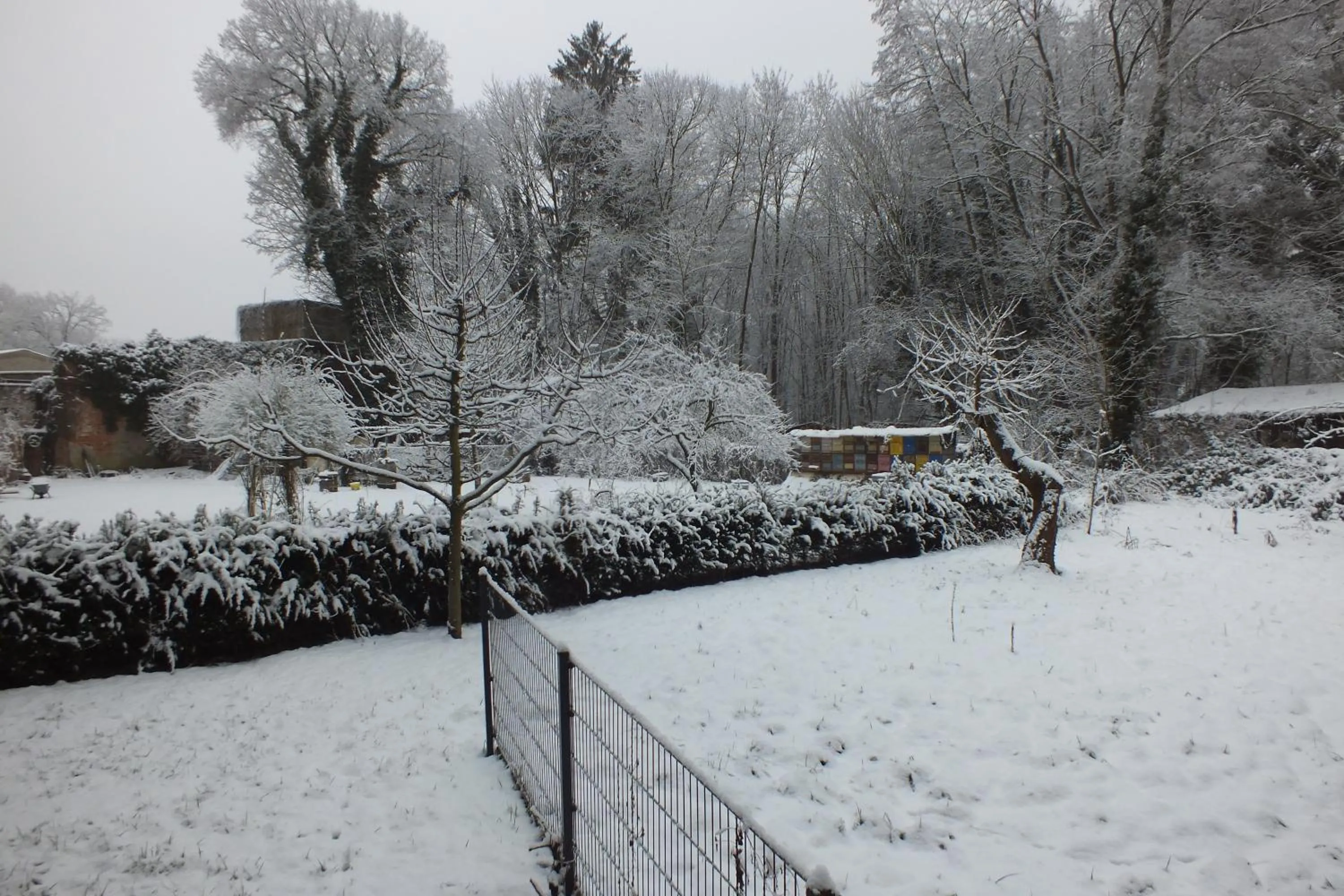 Winter in Pension Markgrafenmühle