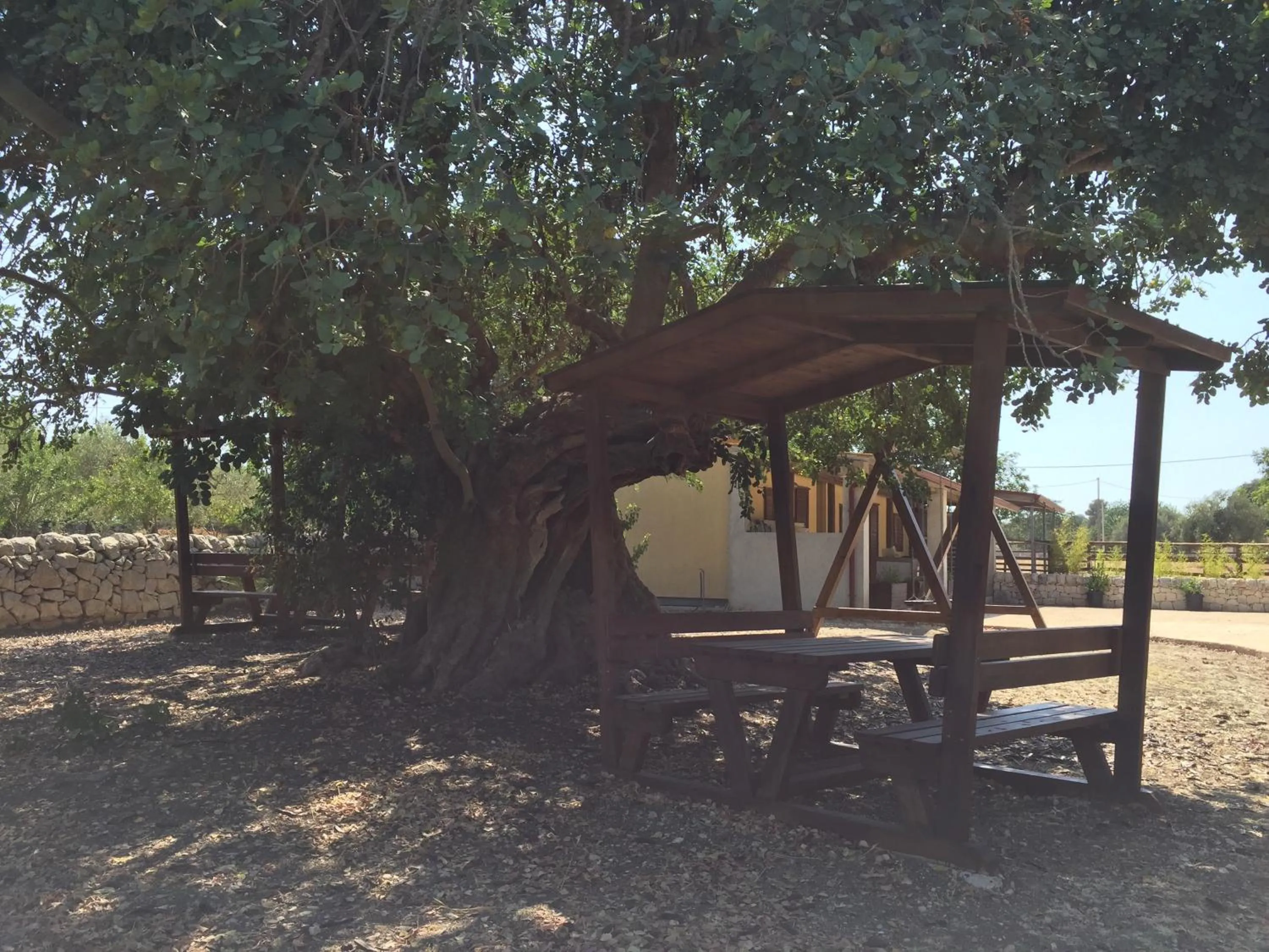 Animals in Agriturismo Il Melograno