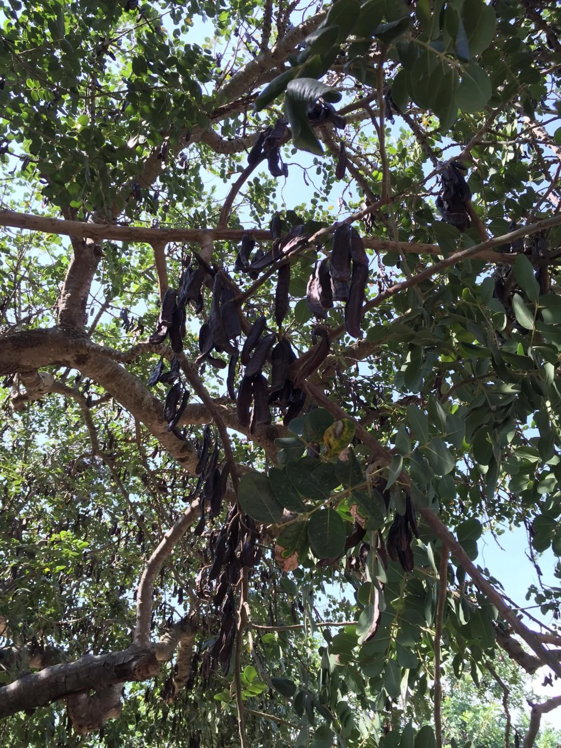 Natural landscape in Agriturismo Il Melograno