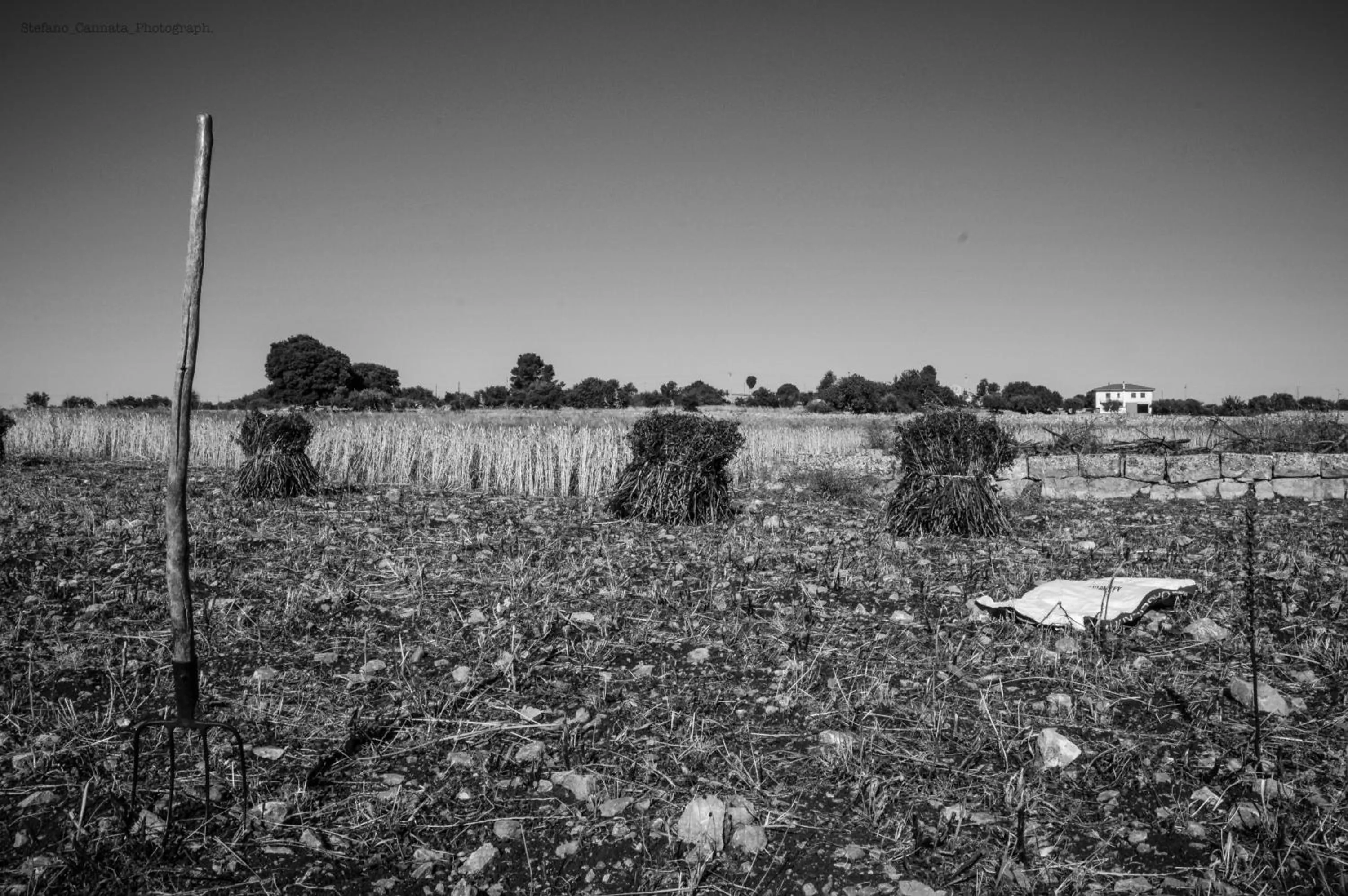 Garden view in Agriturismo Il Melograno
