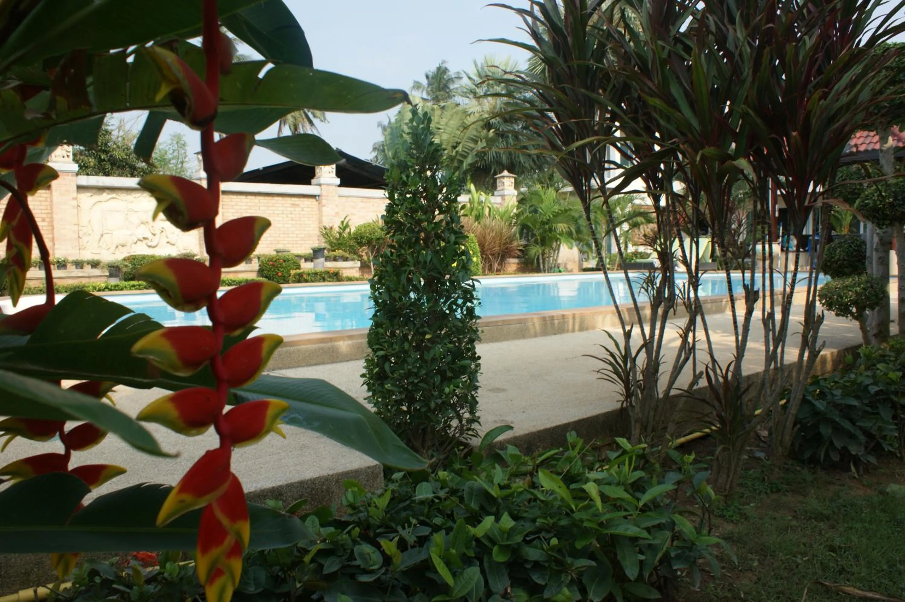 Swimming pool in Sumali Villa