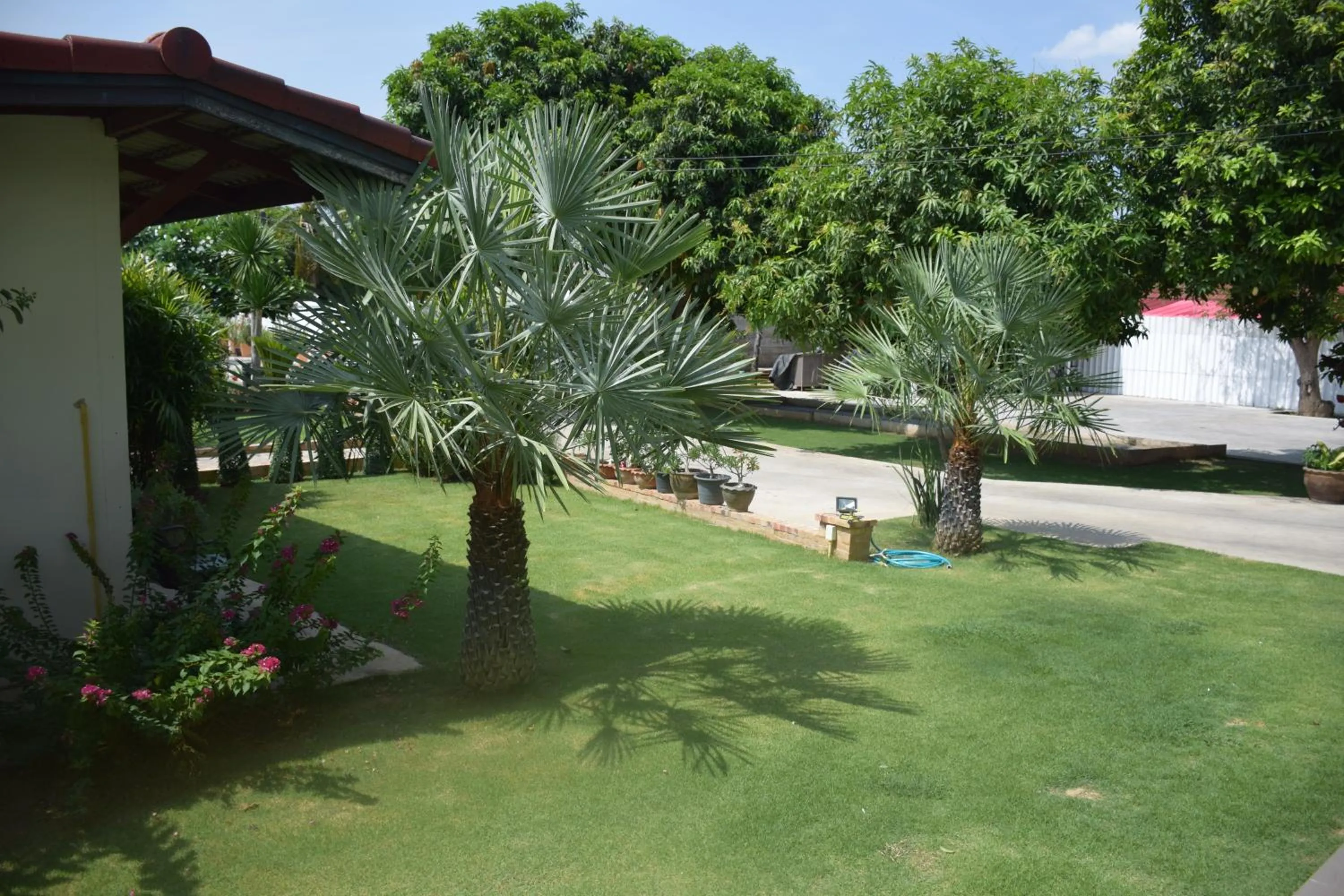 Garden view in Sumali Villa