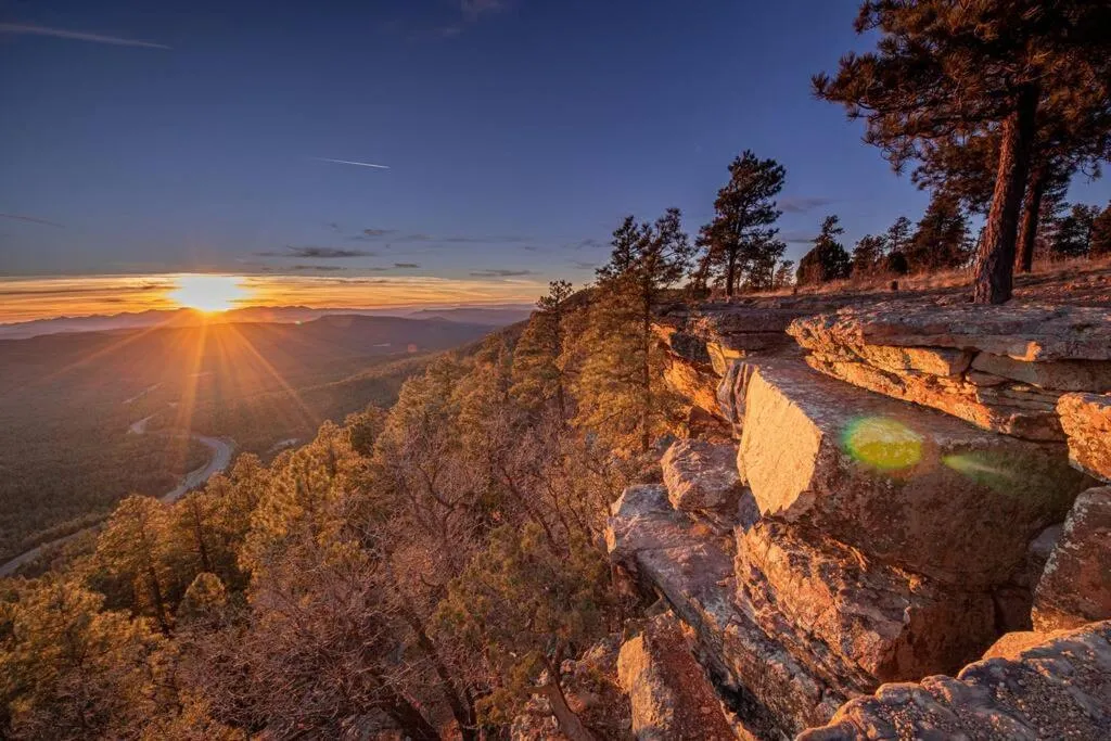 Forest Cabin 1 Hunters Blind