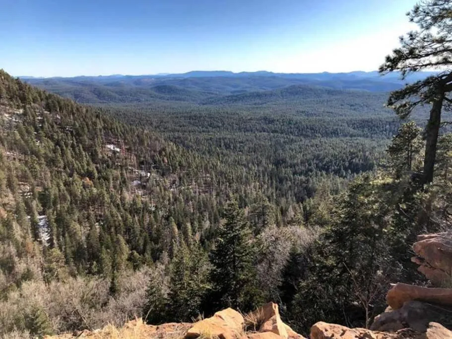 Forest Cabin 1 Hunters Blind