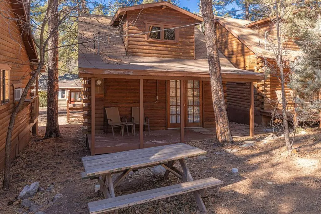 Forest Cabin 2 Birds Nest