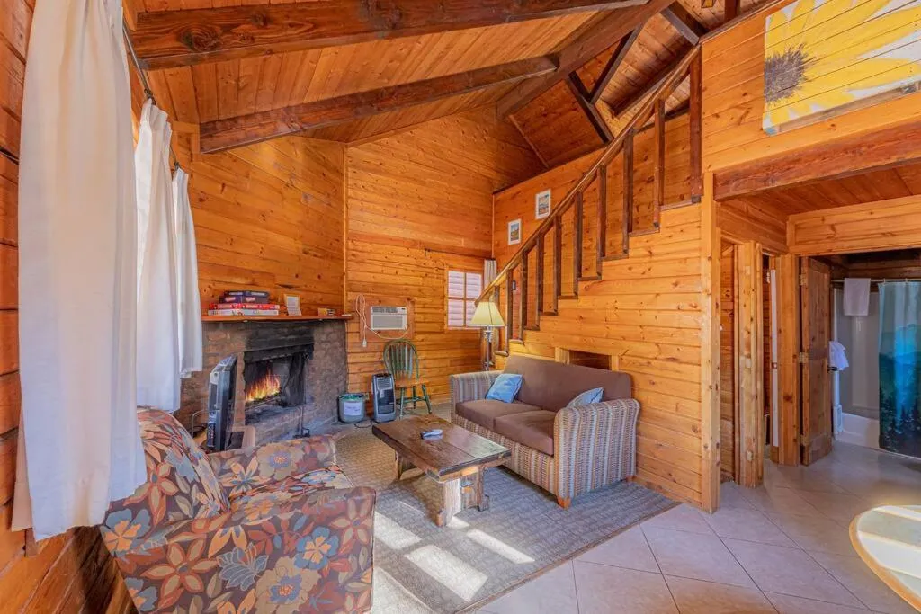 Forest Cabin 2 Birds Nest