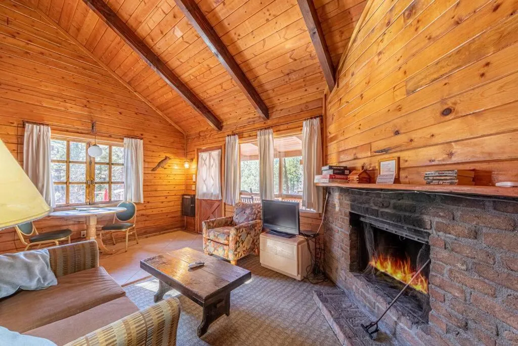 Forest Cabin 2 Birds Nest